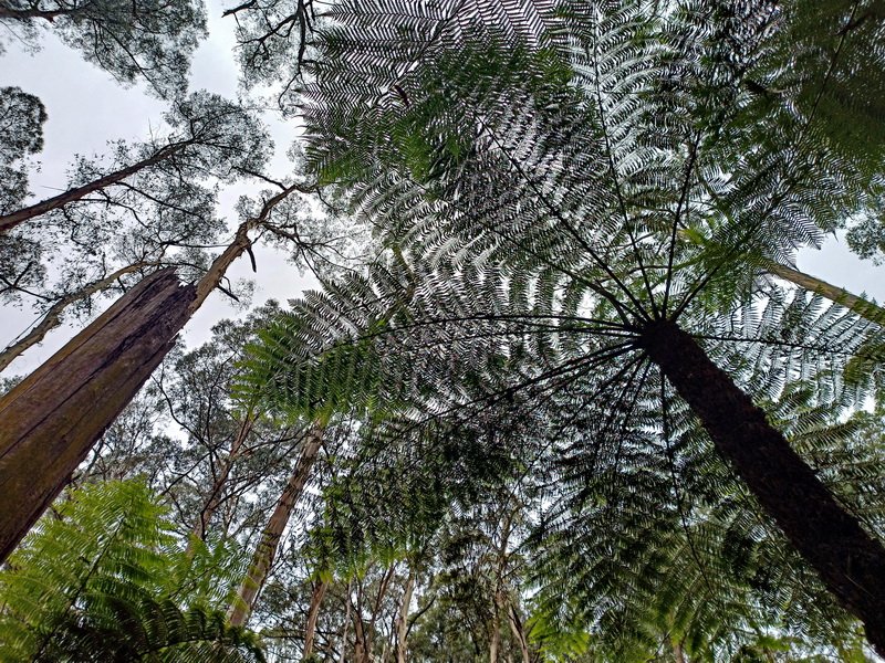 Nature Immersion 70.jpg