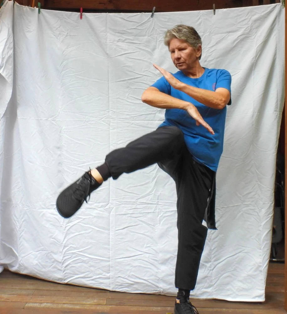 Su bong (protective arms) with hook kick