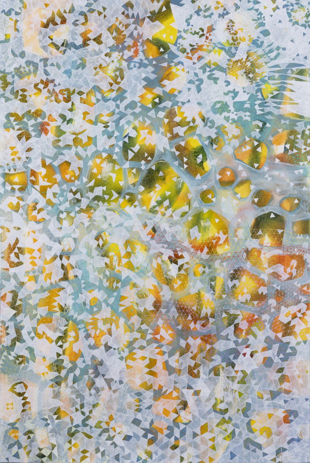 Migration II - 2023
Acrylic paint on canvas
167 x 101cm
$2,500
When I look at this painting it makes me think of a murmuration of a large flock of birds. There is an element of order in the apparent chaos. As individuals maintain a certain distan