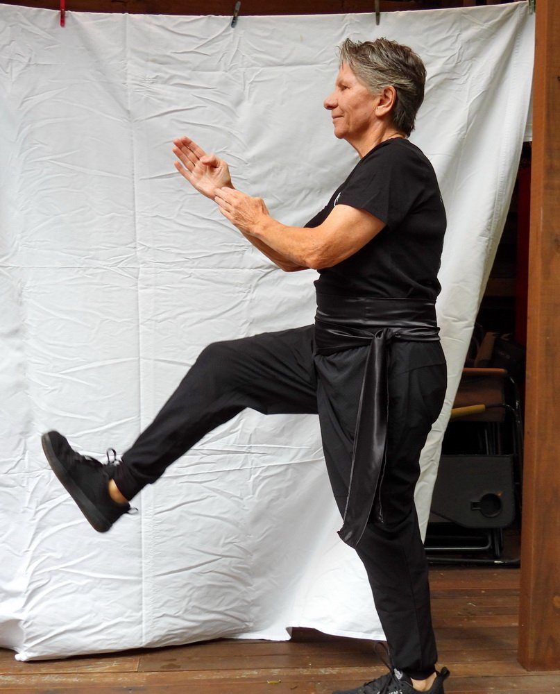 Heel kick with guard