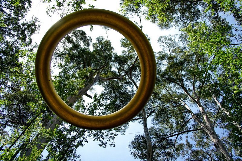 Lorenna Grant and Alan Clarke
The Golden Torus
Sculpture in forest
Swarbrick WA