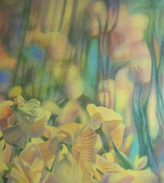 Yellow Pansies
101 x 91 cm
$1,800.00 (AUD)