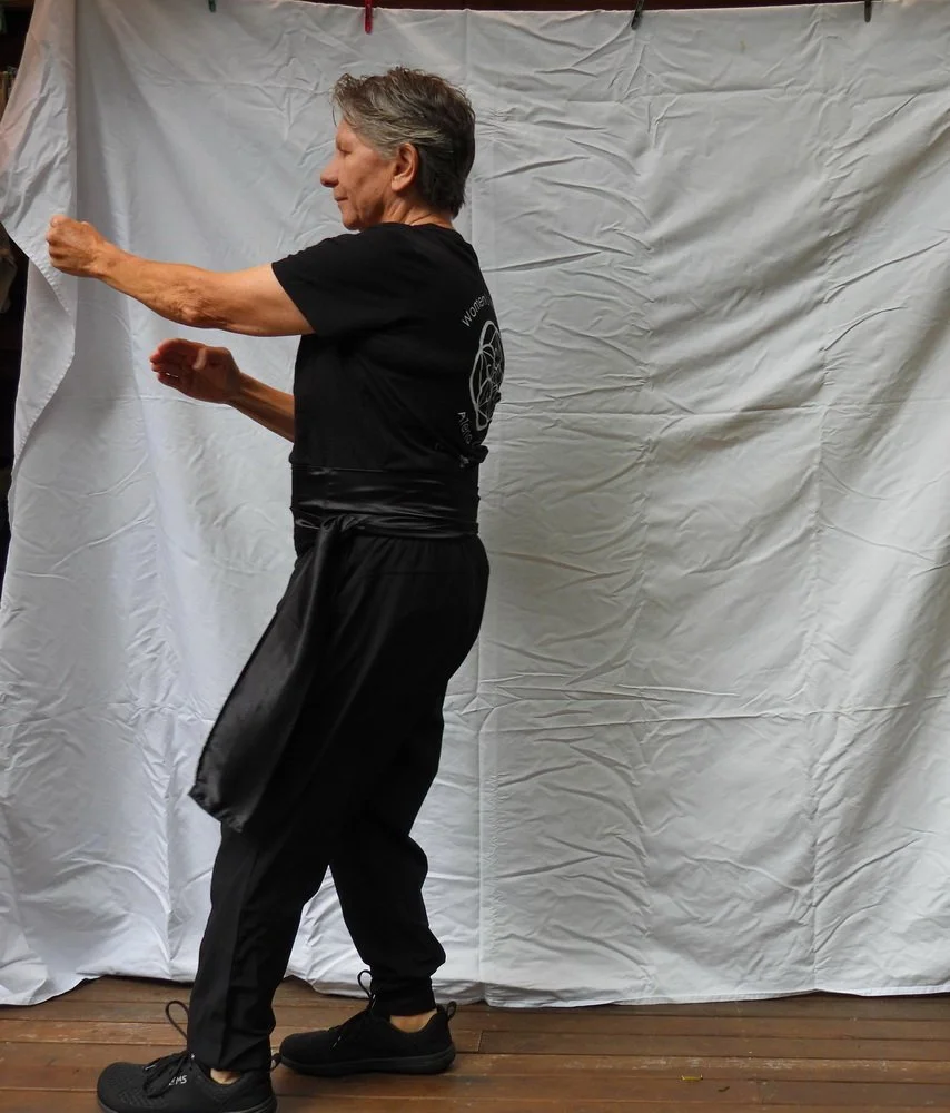 Kick, parry, punch 5