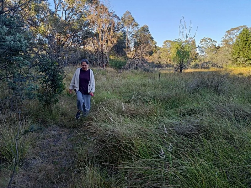 Nature Immersion 40.jpg