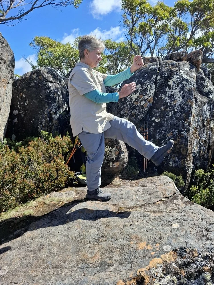 Parry punch with heel kick 1