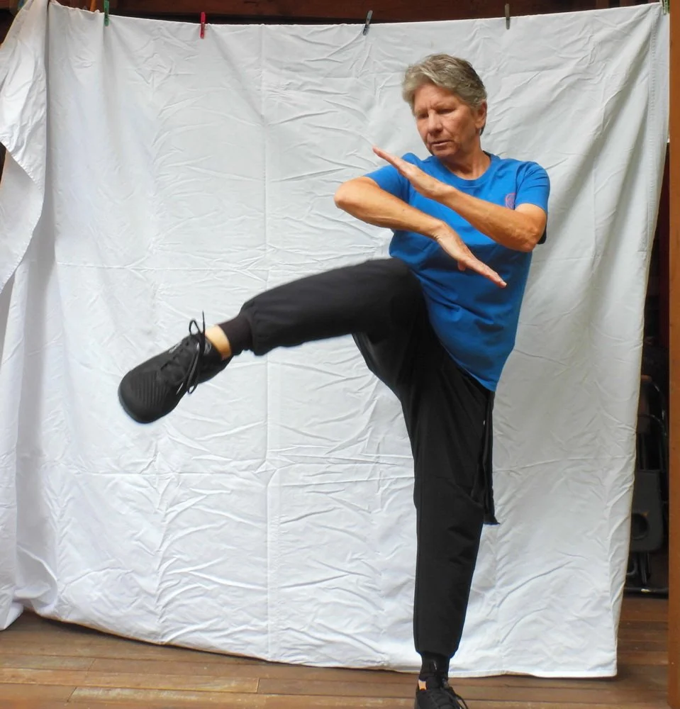 Su bong (protective arms) with side kick 1