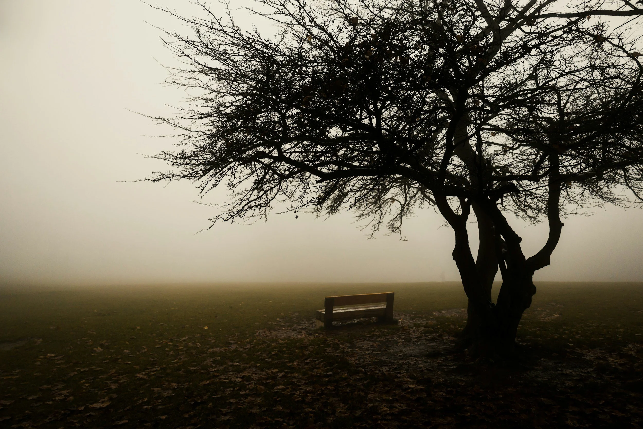 A Biblical Evaluation of Major Depressive Disorder as Expressed in the DSM-5TR