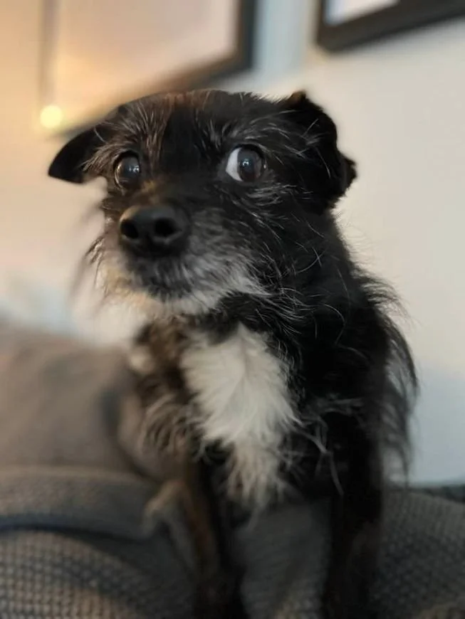 Molly