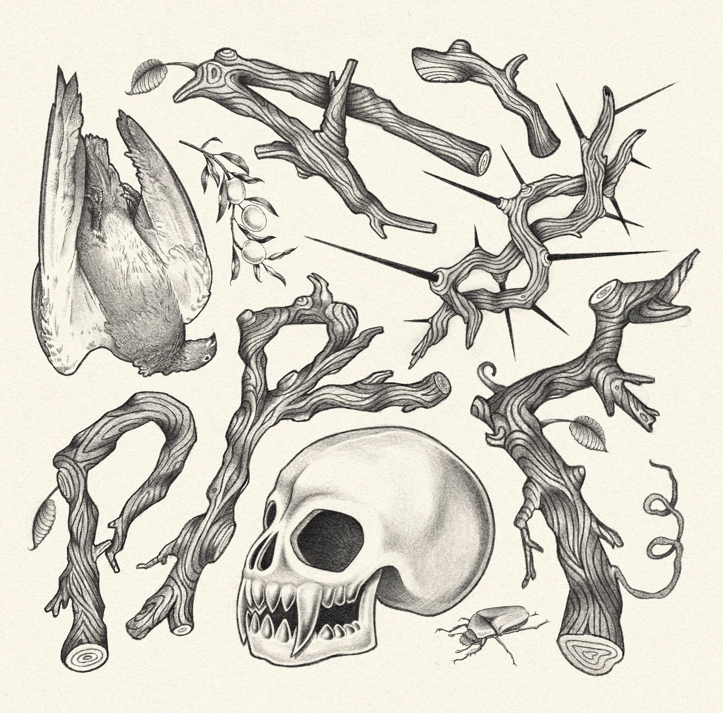 Illustration