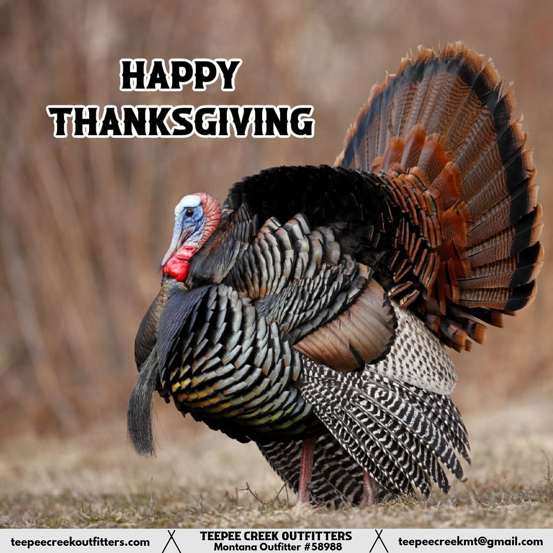 Happy Thanksgiving from Teepee Creek Outfitters 🍂🦃

This Thanksgiving, we&rsquo;re incredibly grateful for our amazing clients, hardworking team, and the beautiful Montana we call home. Whether you&rsquo;re around the table or out in the field, we 