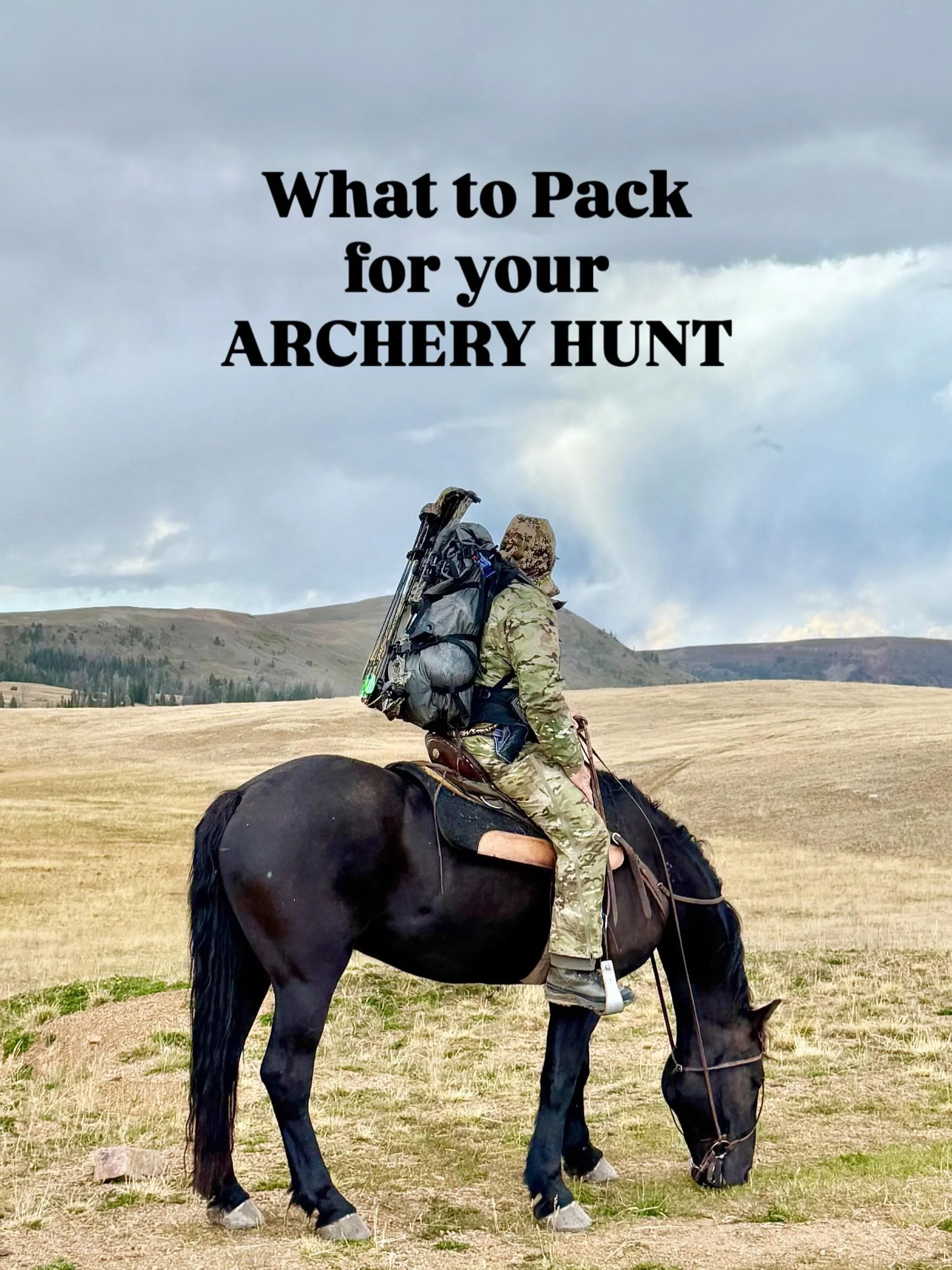We are 98 days from opening day! Double digit countdown!

Items Needed:
&bull;HUNTING LICENSE AND TAGS *Keep these essential documents in a secure, waterproof bag.
&bull;BOW &amp; ARROWS *Make sure your bow is tuned, arrows are in good condition, and