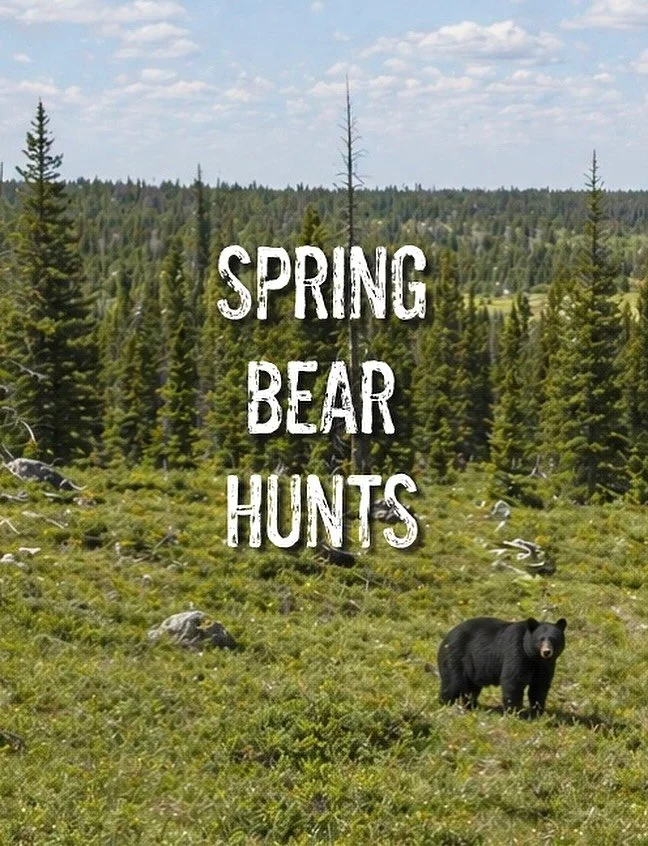 We now offer Spring Bear Hunts!!! Teepee Creek now is booking Spring Bear Hunts April 15th &ndash; June 15th. Get on our books for your 2026 spring bear hunt! 

We&rsquo;re fired up for this opportunity and can&rsquo;t wait to kick off our spring hun