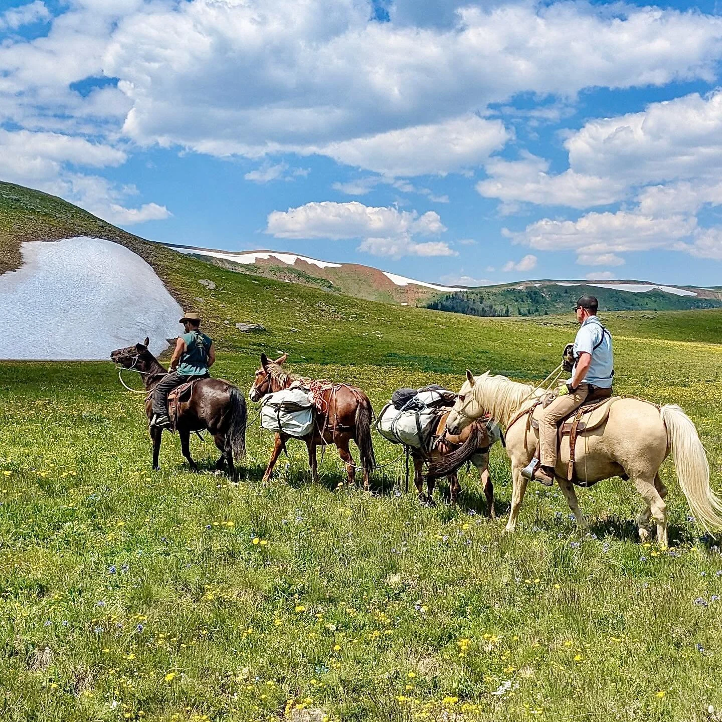 Dreaming of packing into the mountains in the sunshine. 🐎 

#teepeecreekoutfitters #packtrip #montana
