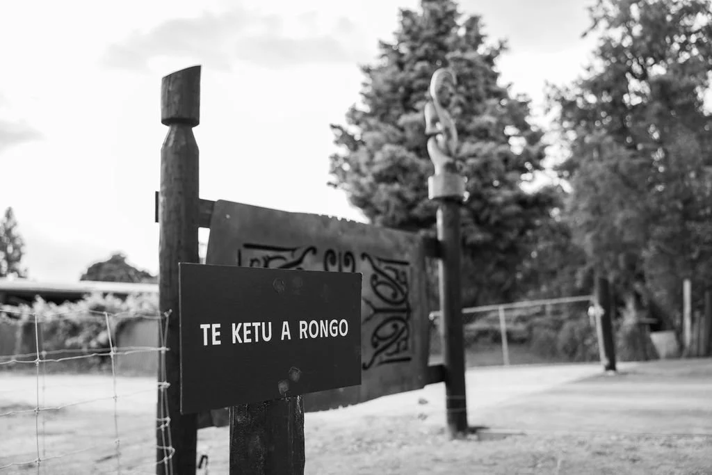 Te Ketu a Rongo Narrative