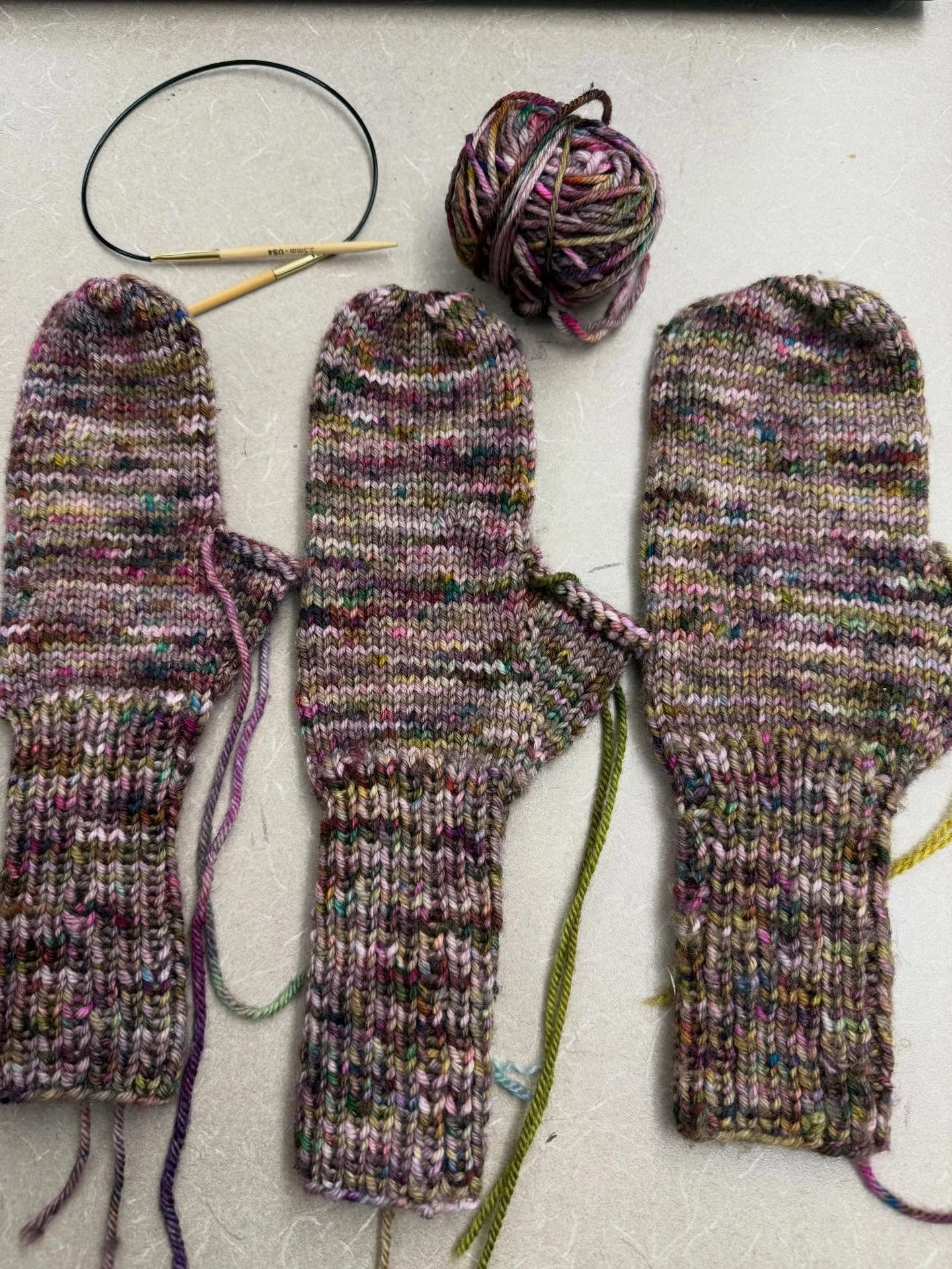 One too big. One too small. One just right. And still no match 🥹Having said goodbye to our best rescue decision of 14 years this week, has me all in my feels. While our family got smaller this week, this crew of mittens is growing - here's hoping a 