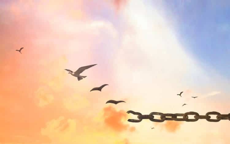 Letting go of my attachments