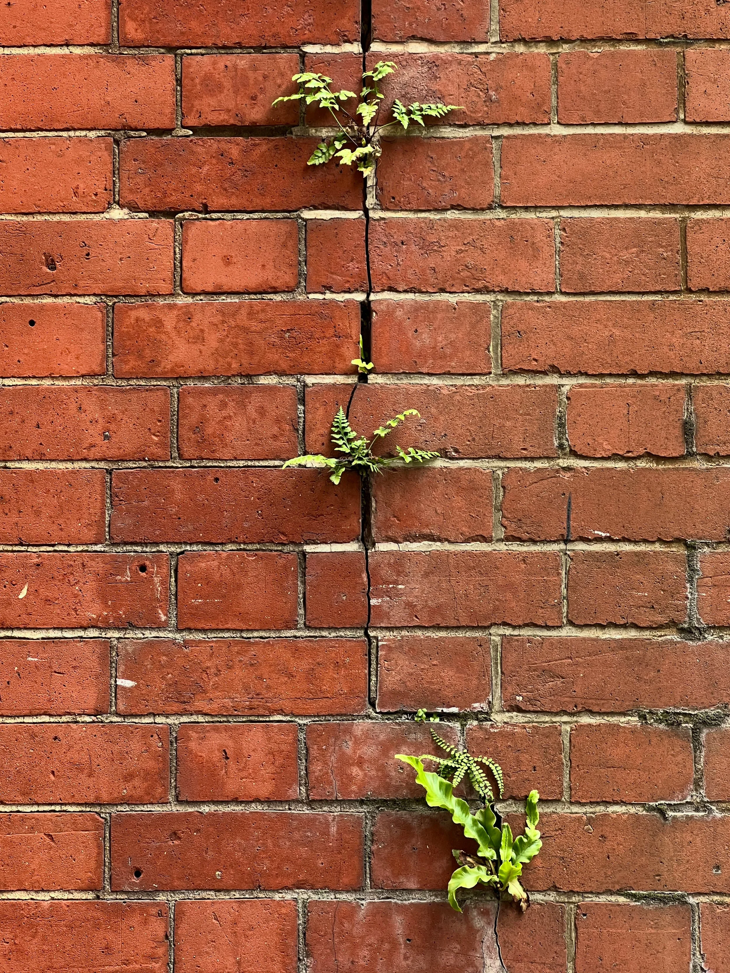 Expect the Unexpected: A Gentler Way To Build Resilience