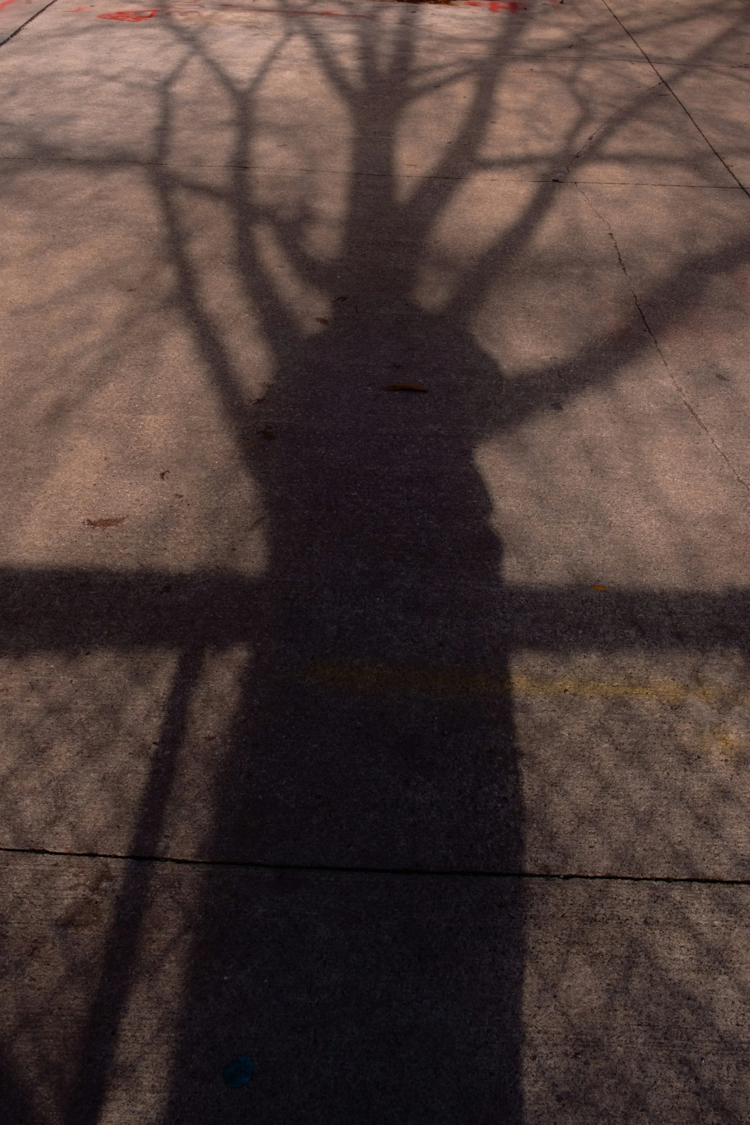 Your Shadow Is Not the Problem—It’s the Path to Your Light