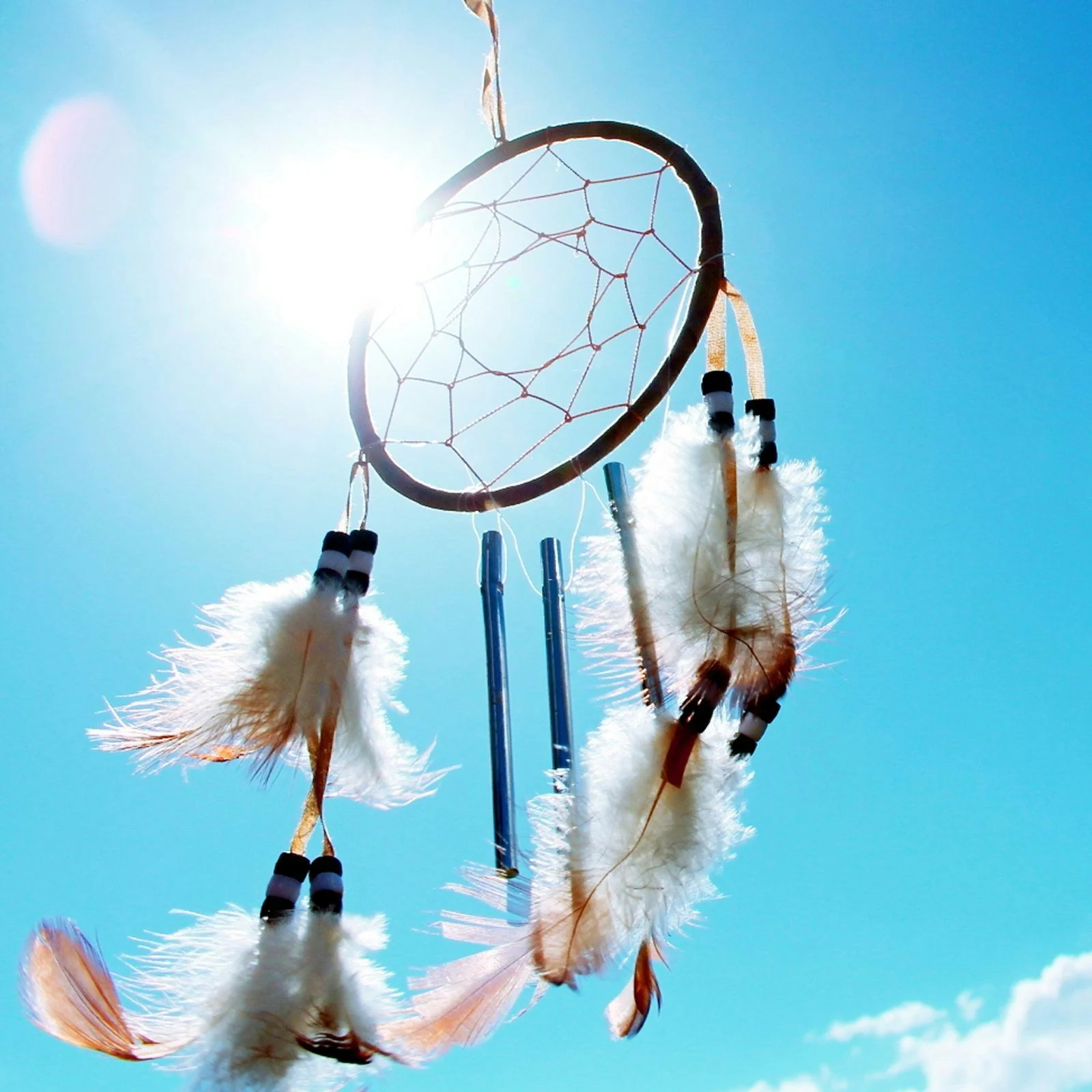 Find The Dream That Is Truly Yours