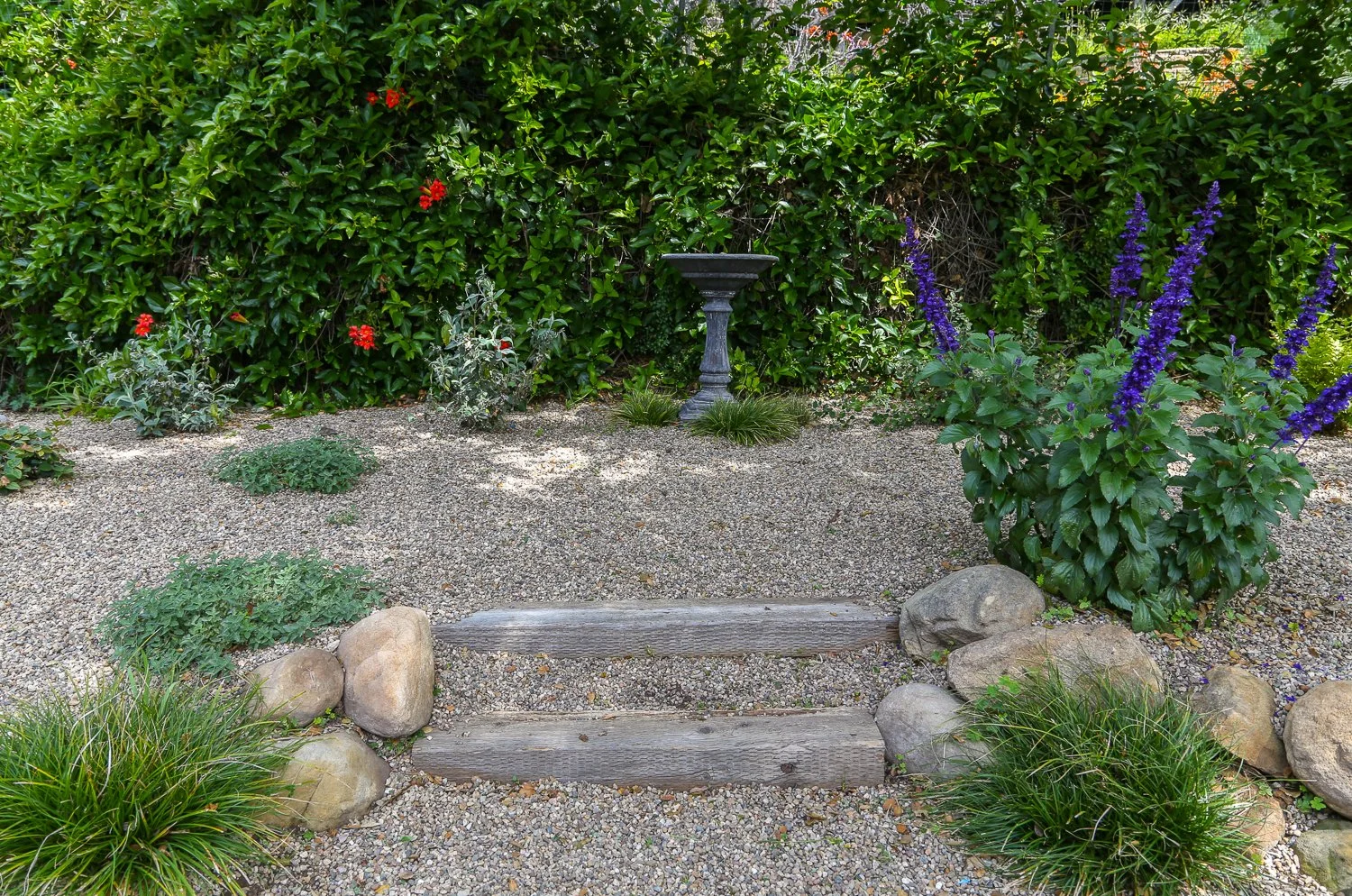 Website Resize Export-3.jpg