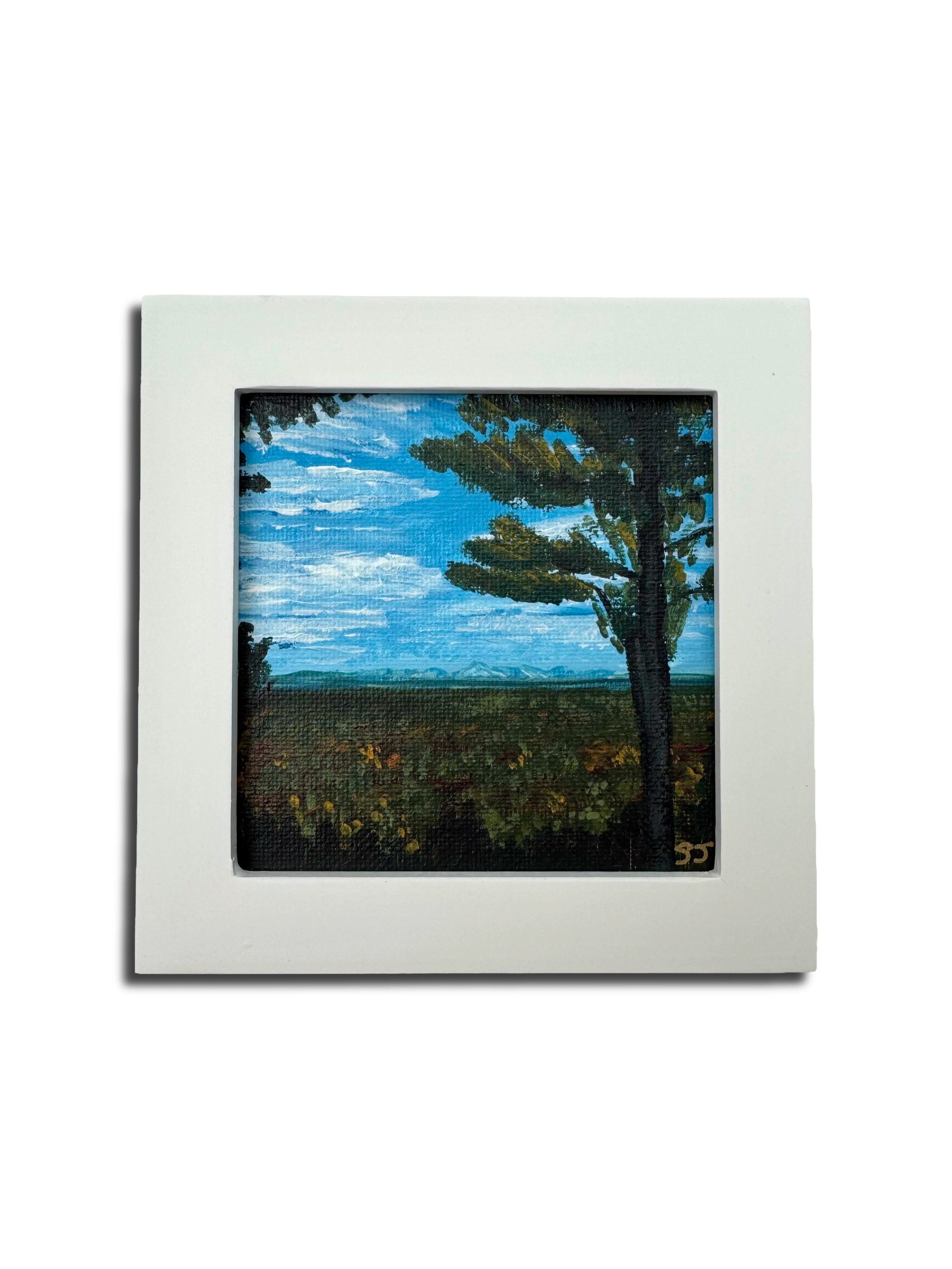 View from Hedgehog Mountain - Mini framed original.png
