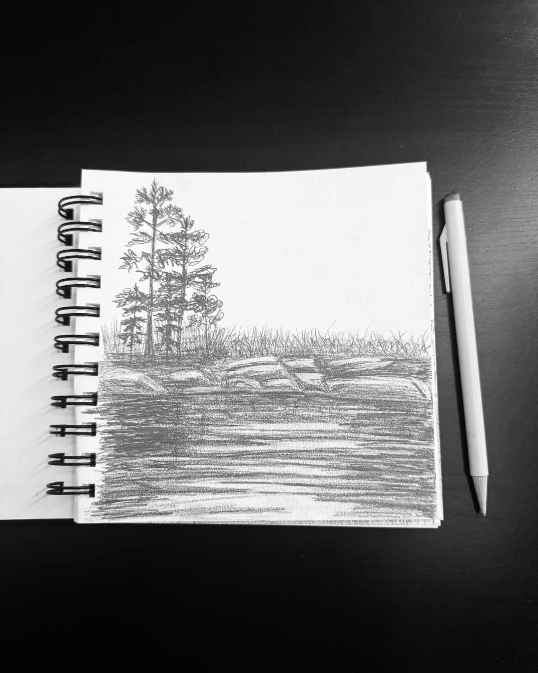 At the water&rsquo;s edge, rocks held the surface steady&mdash;a reminder that stillness, too, can be a form of strength. A quiet balance captured in graphite.

Fine art to reconnect you to the Earth.

#maineartist #maineart #fineartdrawing #pencildr
