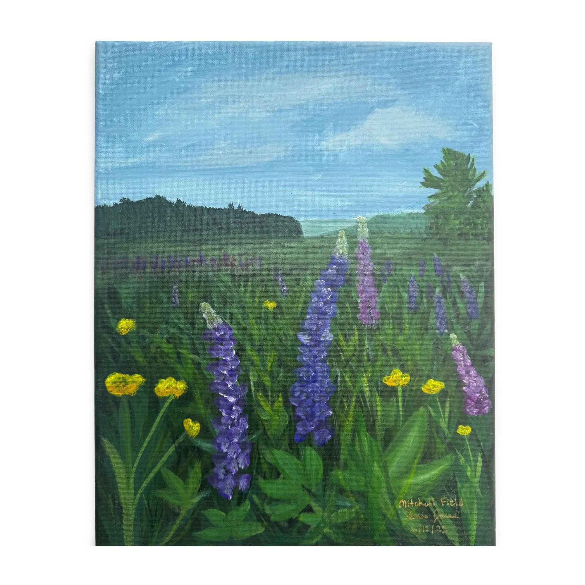 Mitchell Field 11x14