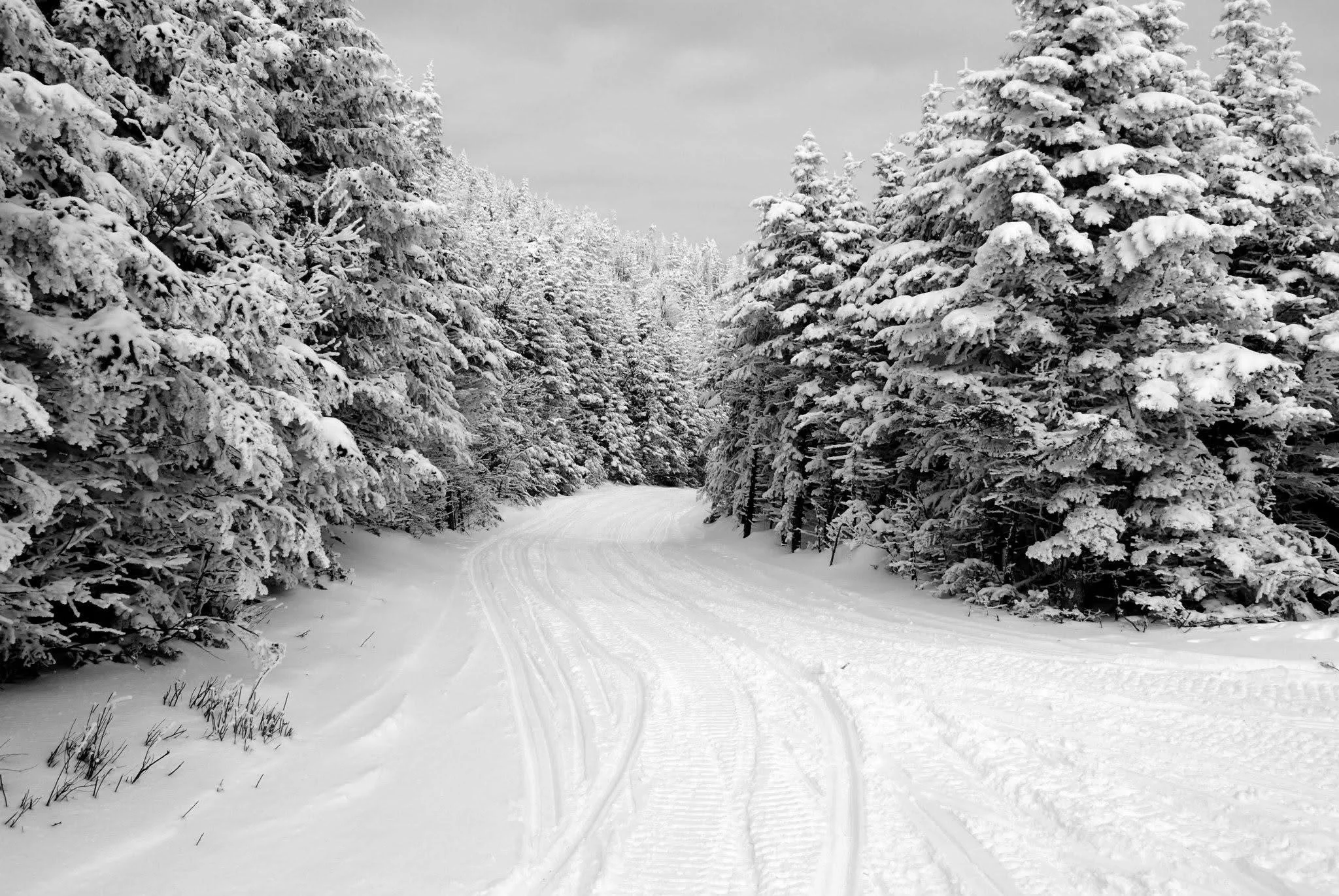 winter-trail-with-fresh-tracks-maine.jpeg