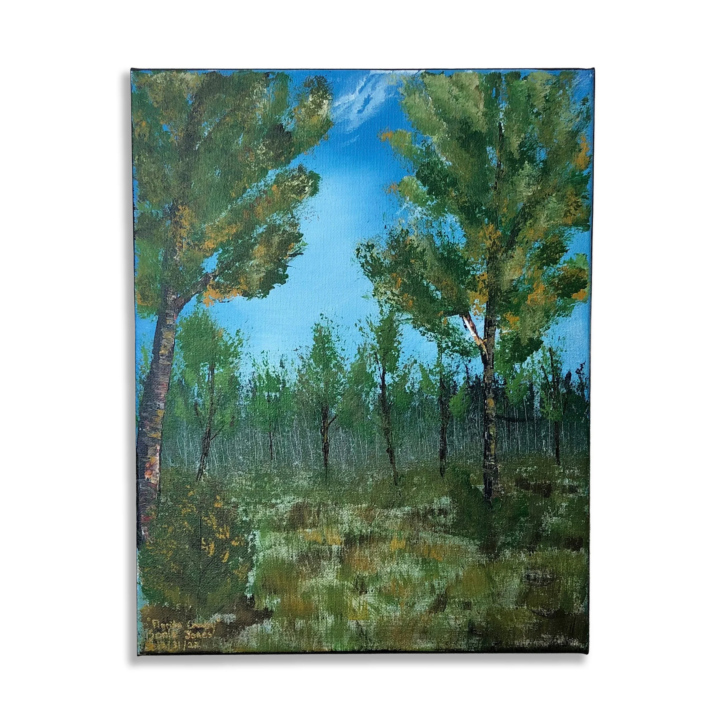 Florida Country