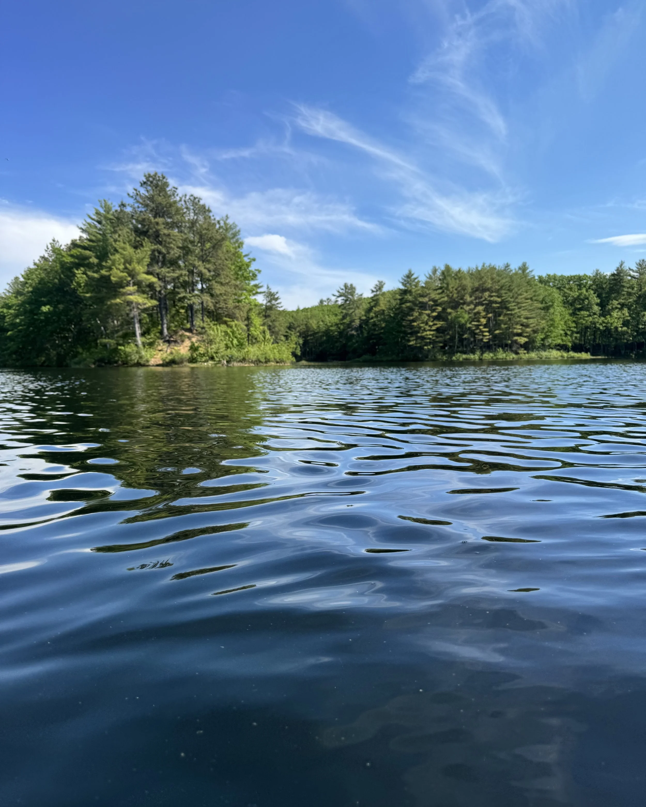 range-pond-state-park-view-from-on-the-water.jpeg