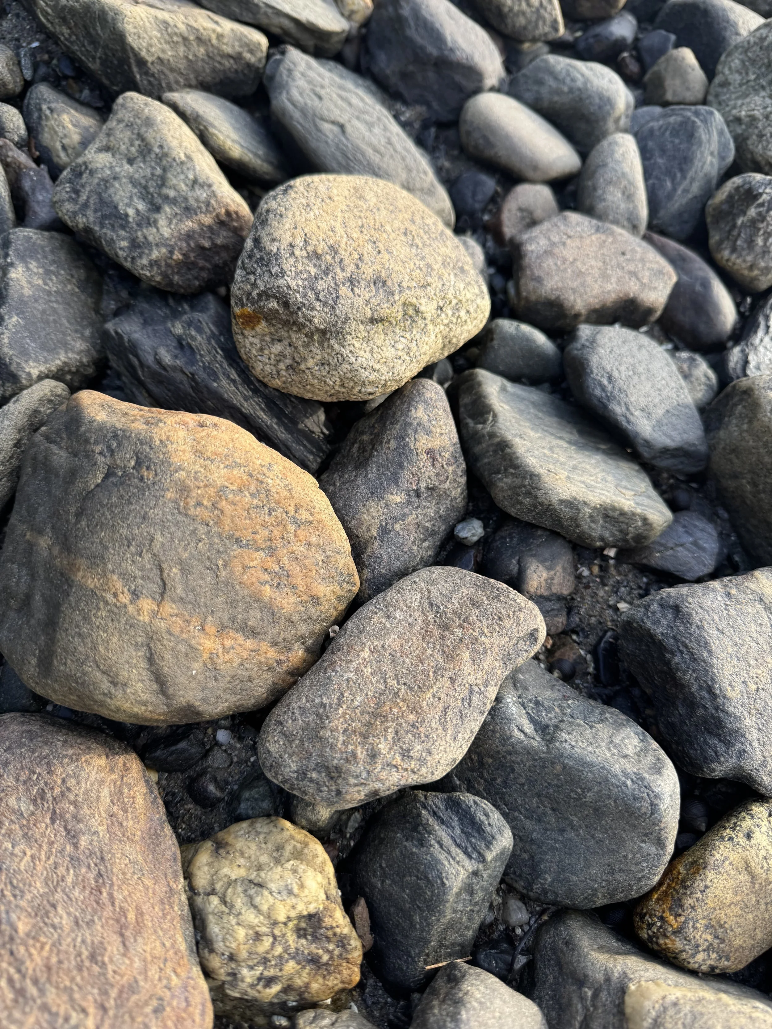 stones-on-a-beach-maine.jpeg