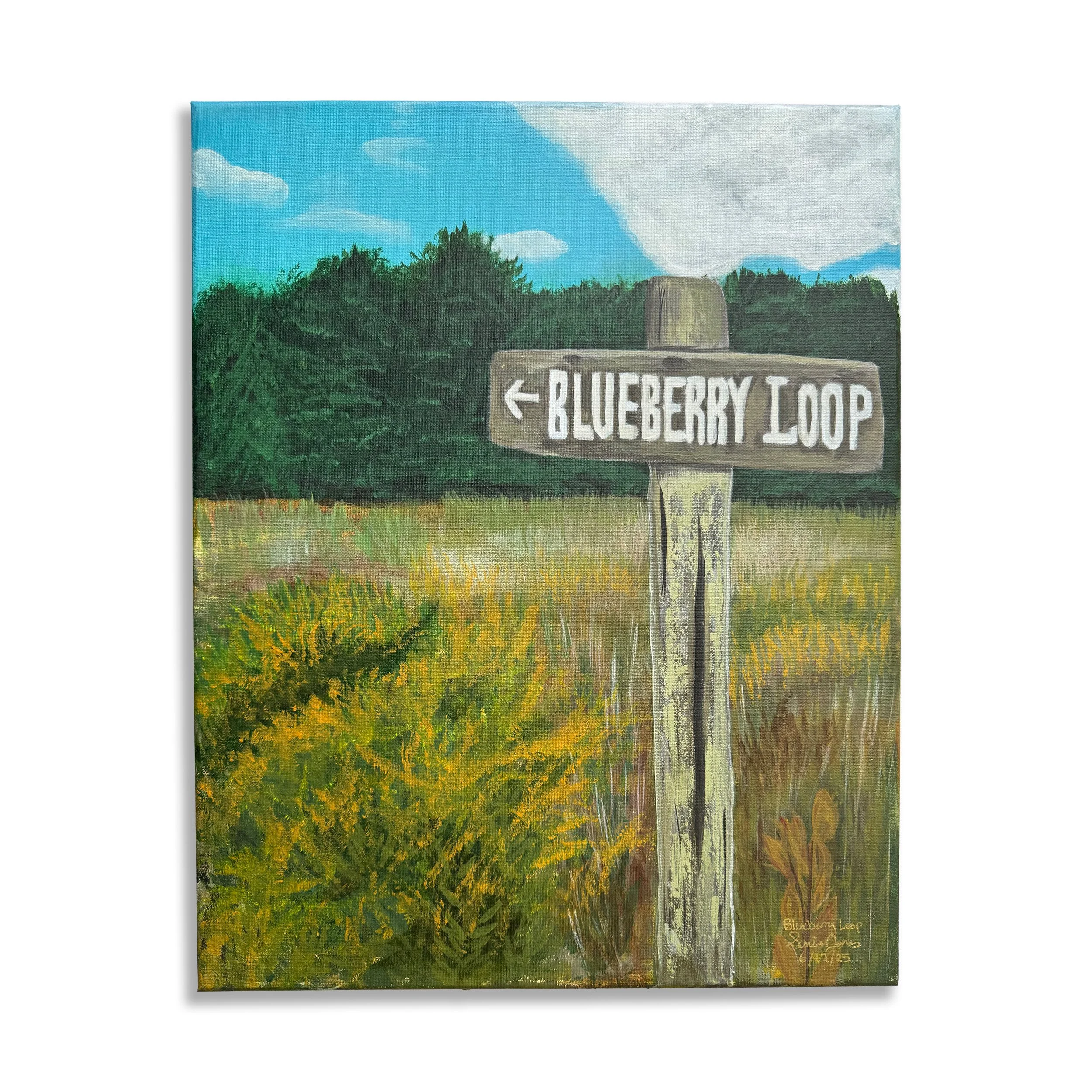 Blueberry Loop