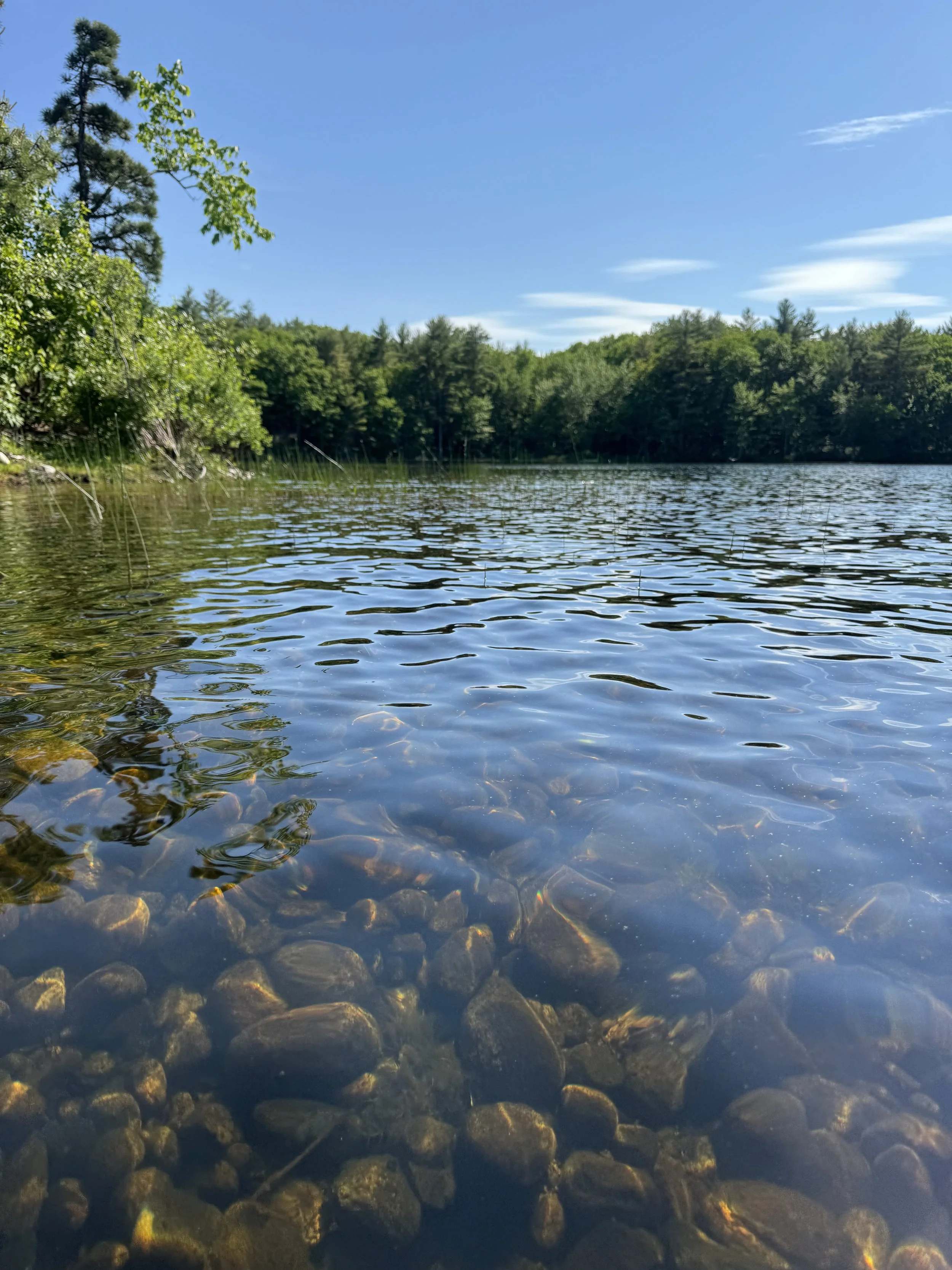 range-pond-state-park-view-from-on-the-water-rocks.jpeg