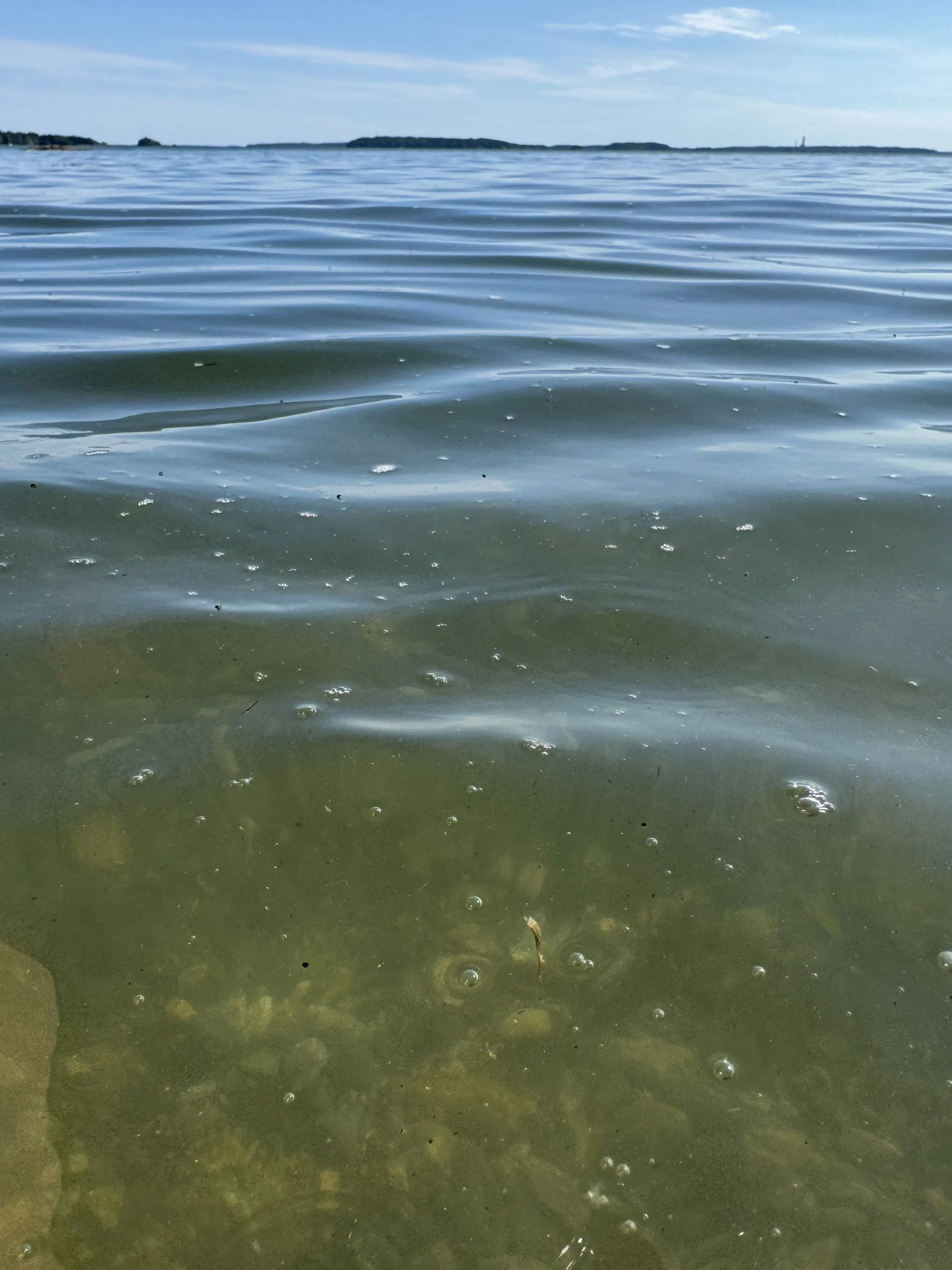 water-surface-range-pond-state-park.jpeg