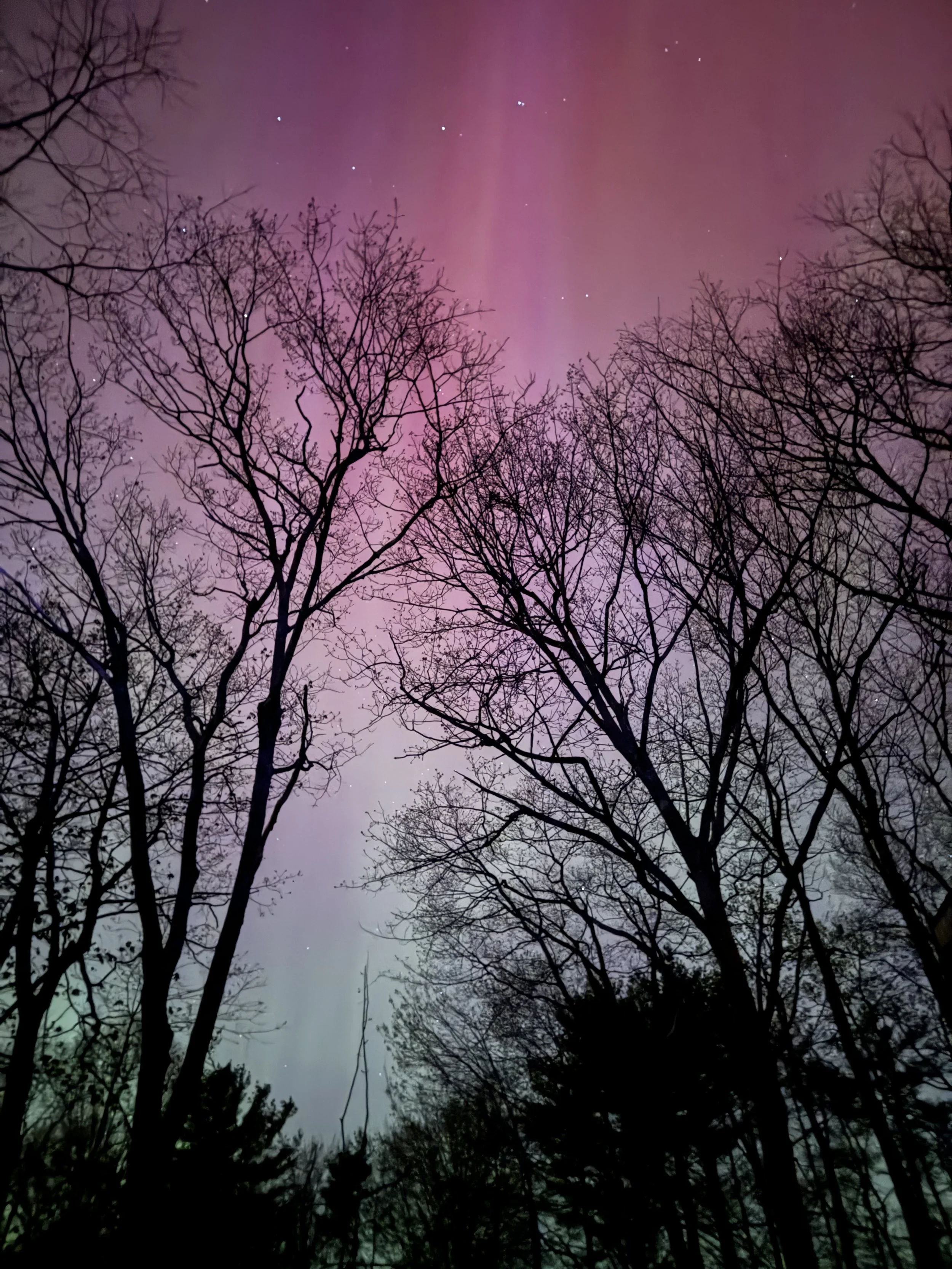 northern-lights-maine.jpeg