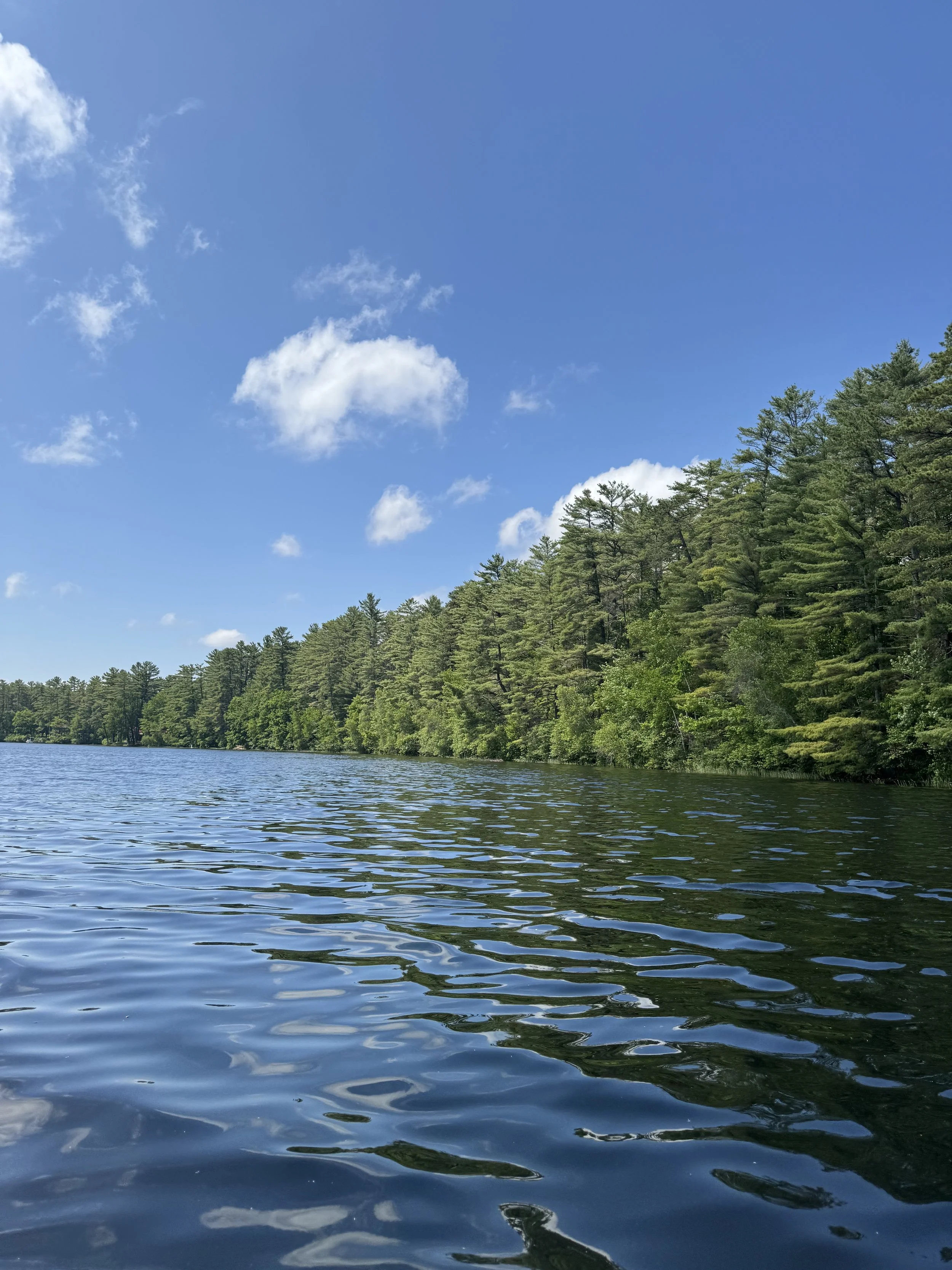 range-pond-state-park-view-from-on-the-water-treeline.jpeg
