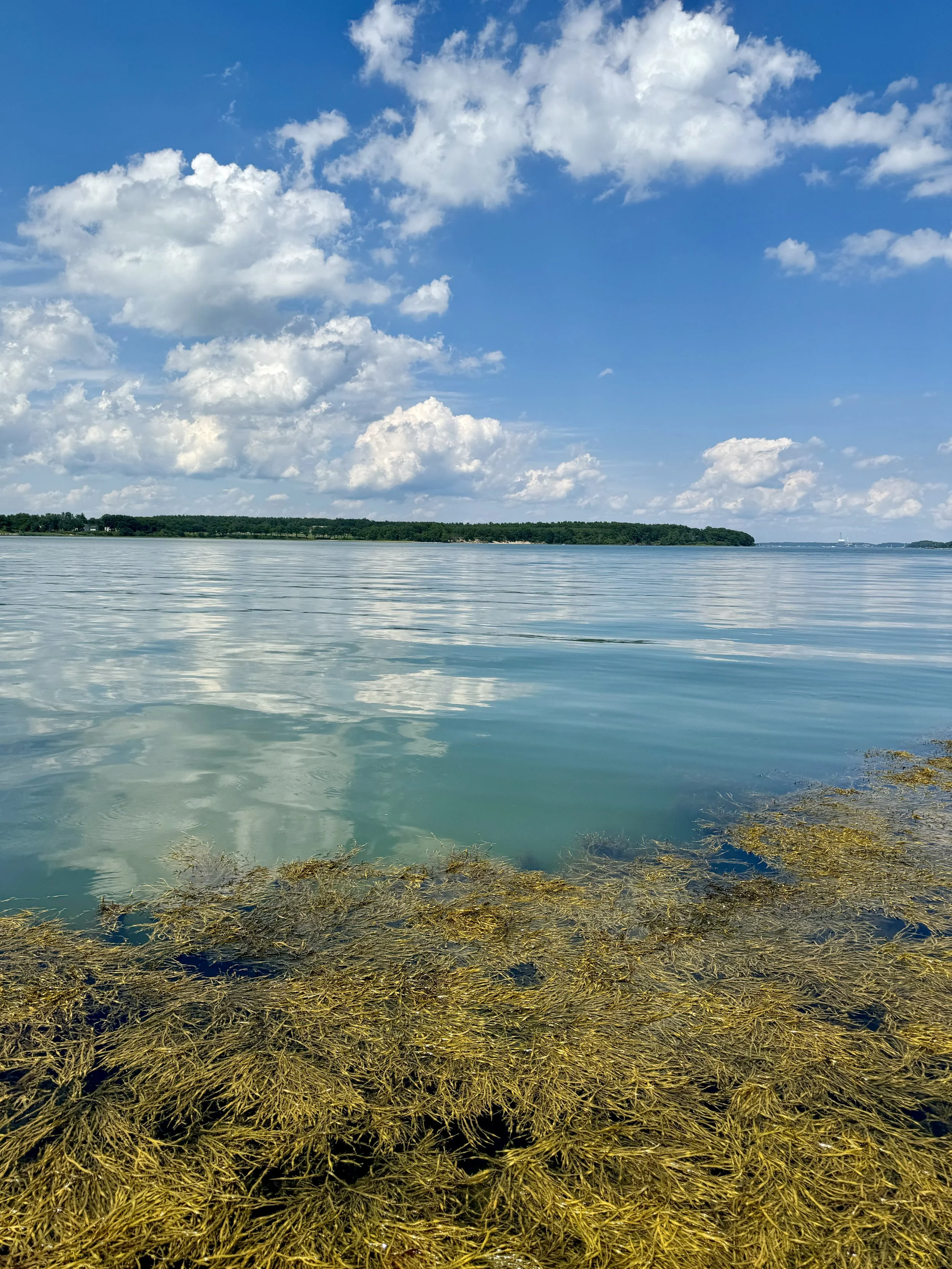 looking-out-from-mackworth-island-maine.jpeg