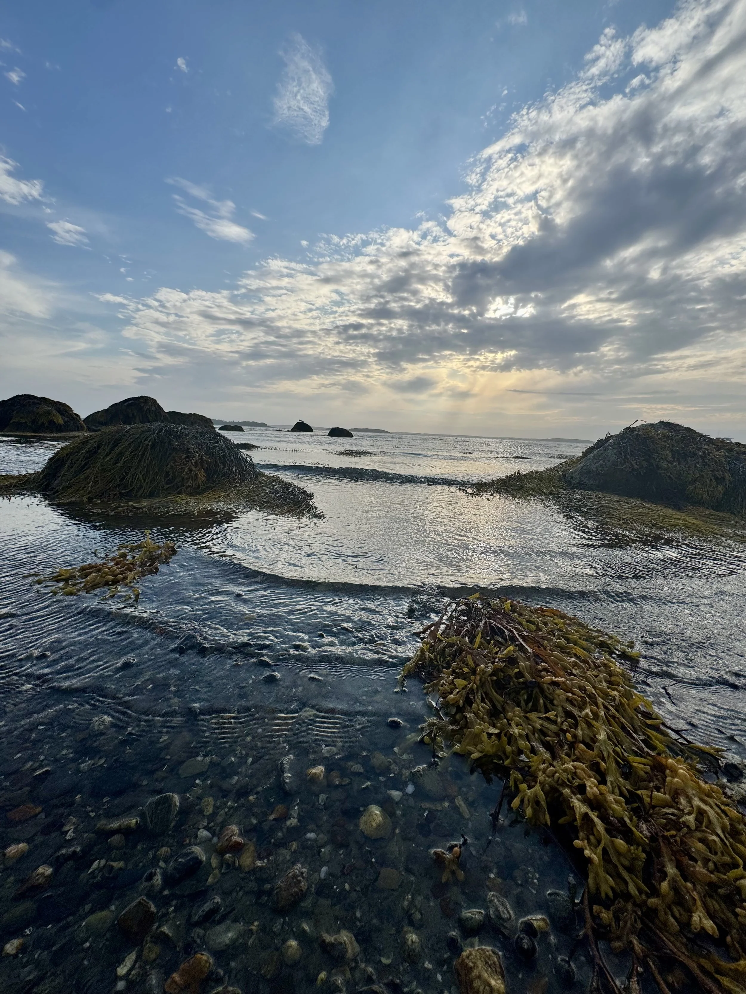 waves-coming-in-at-sunset-mitchell-field-beach.jpeg