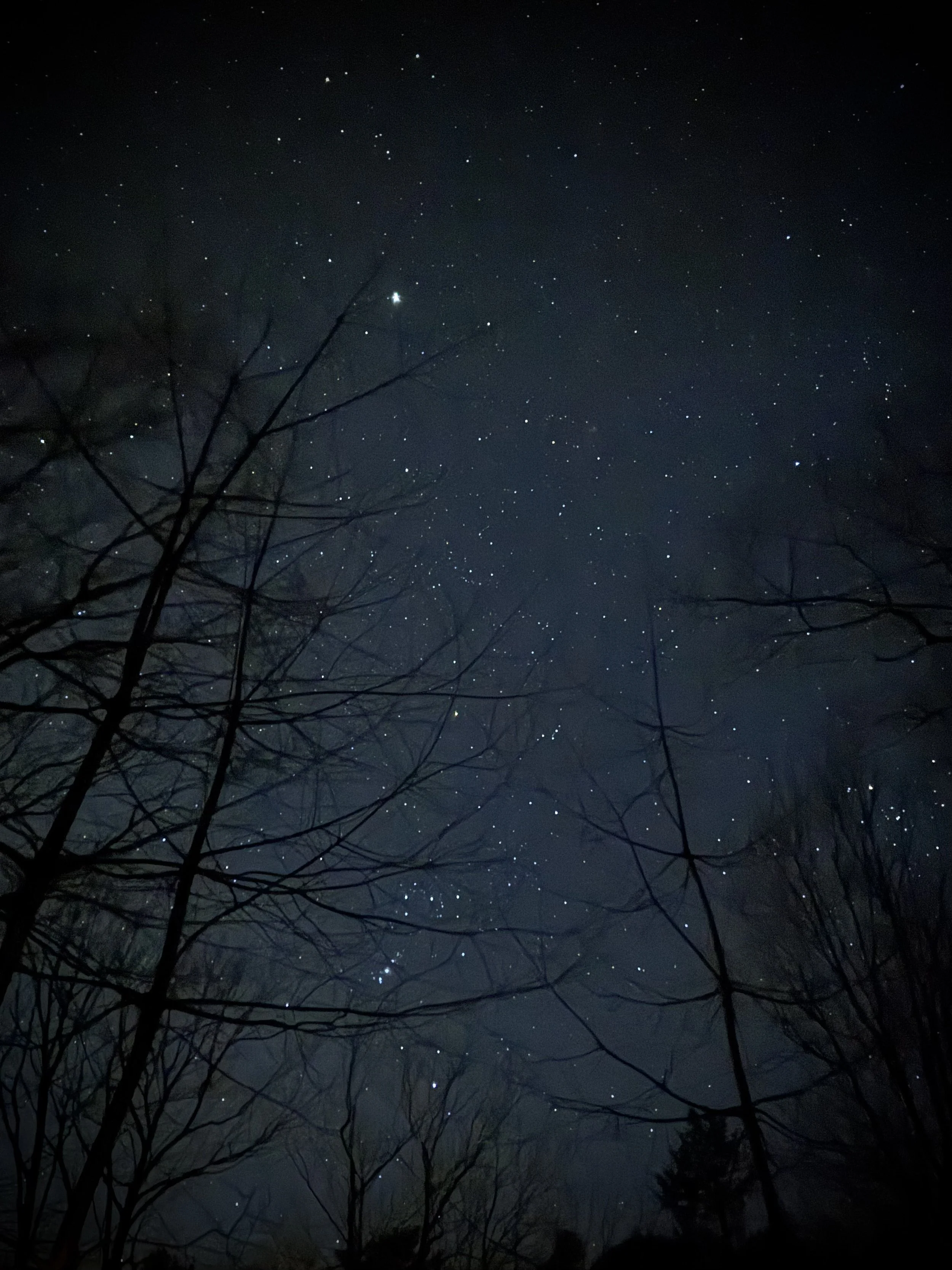 night-time-in-maine.jpeg