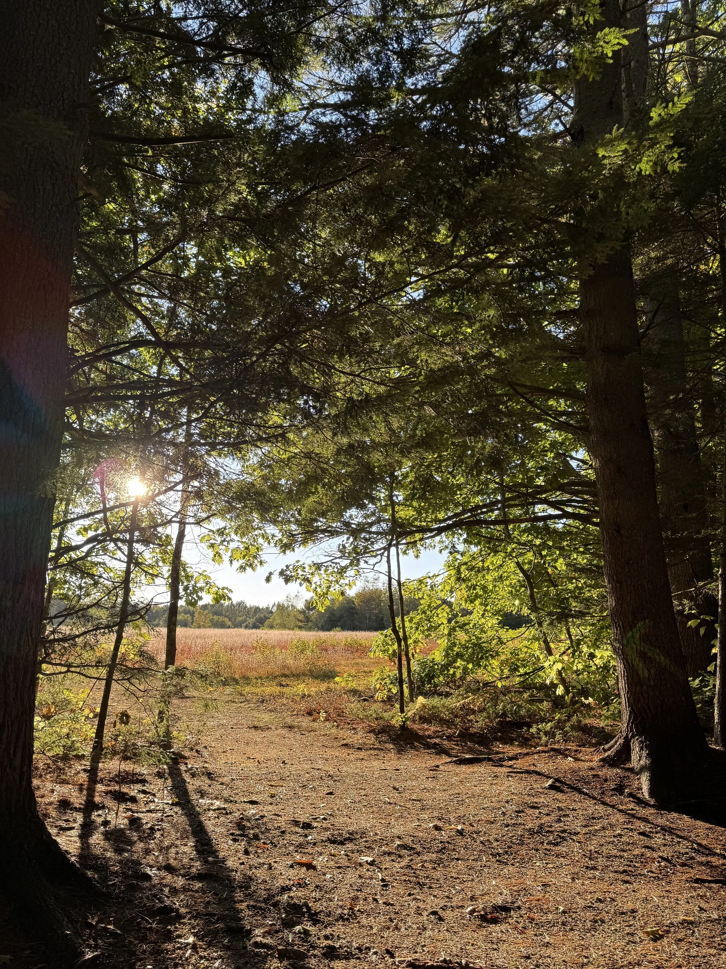 blueberry-loop-trail-sunset-maine.jpeg