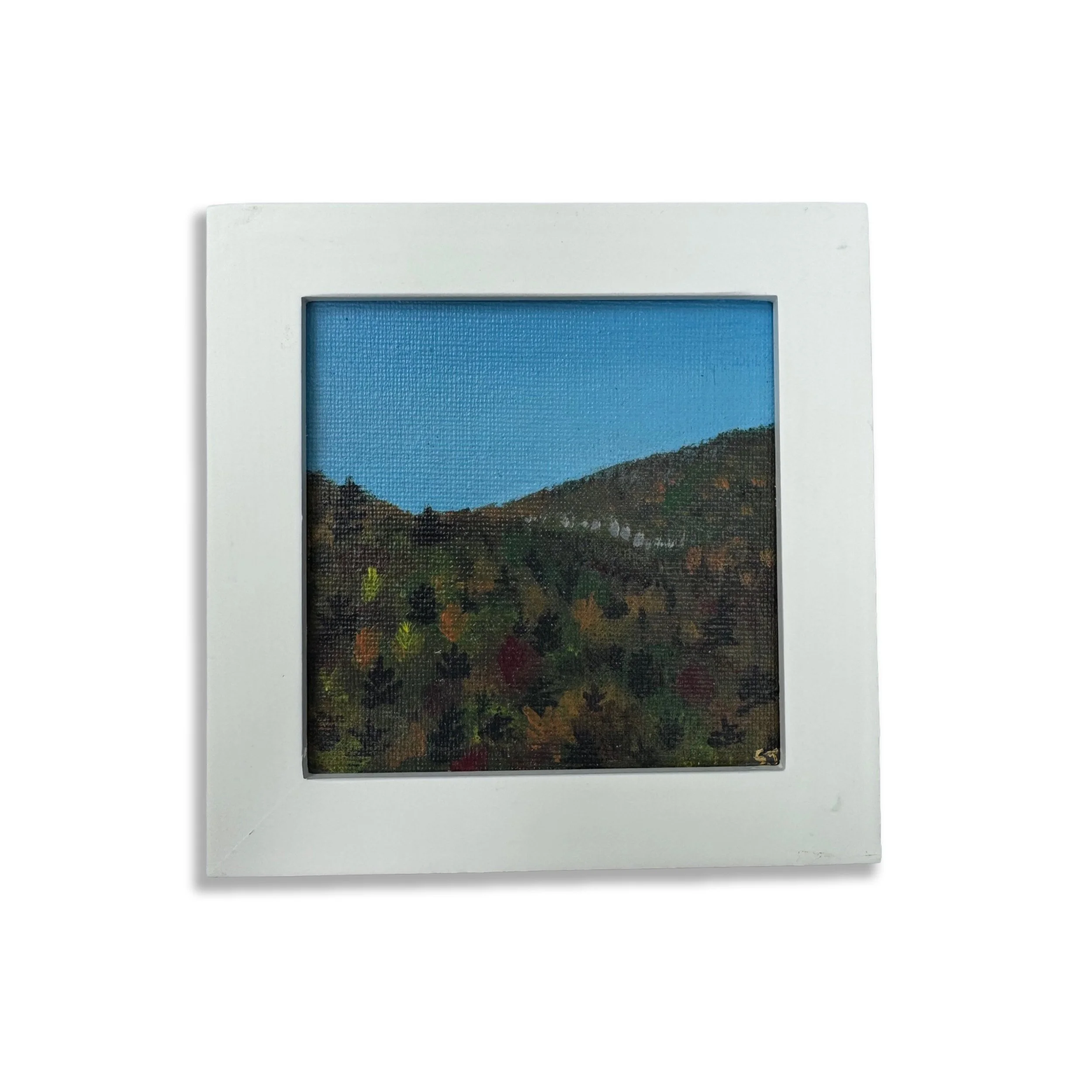 Autumnal View