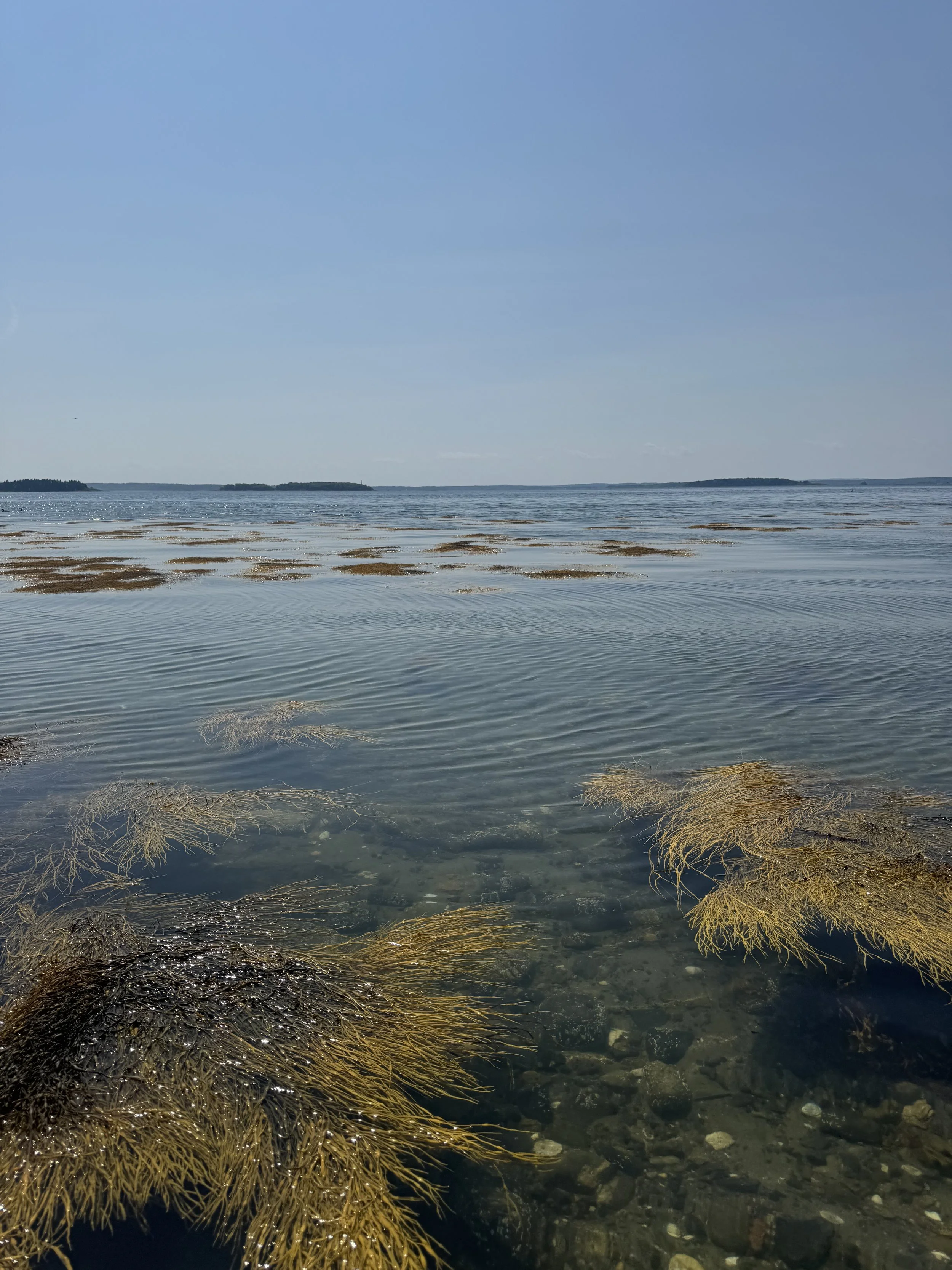 ocean-at-mitchell-field-harpswell.jpeg