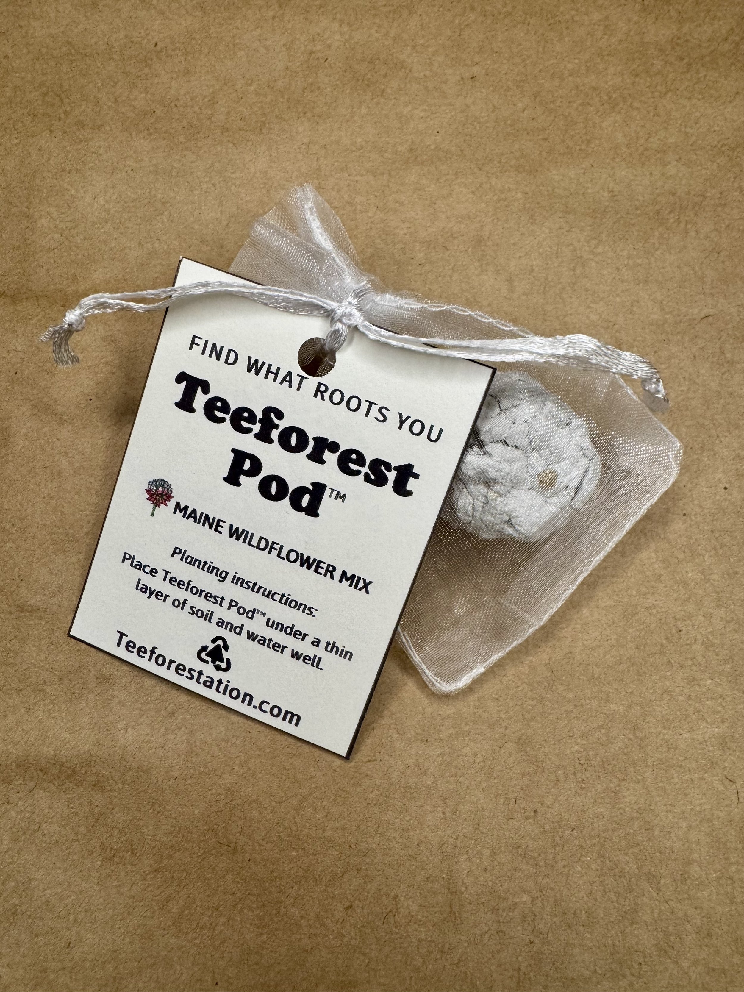 Teeforest Pod Packaged.jpg