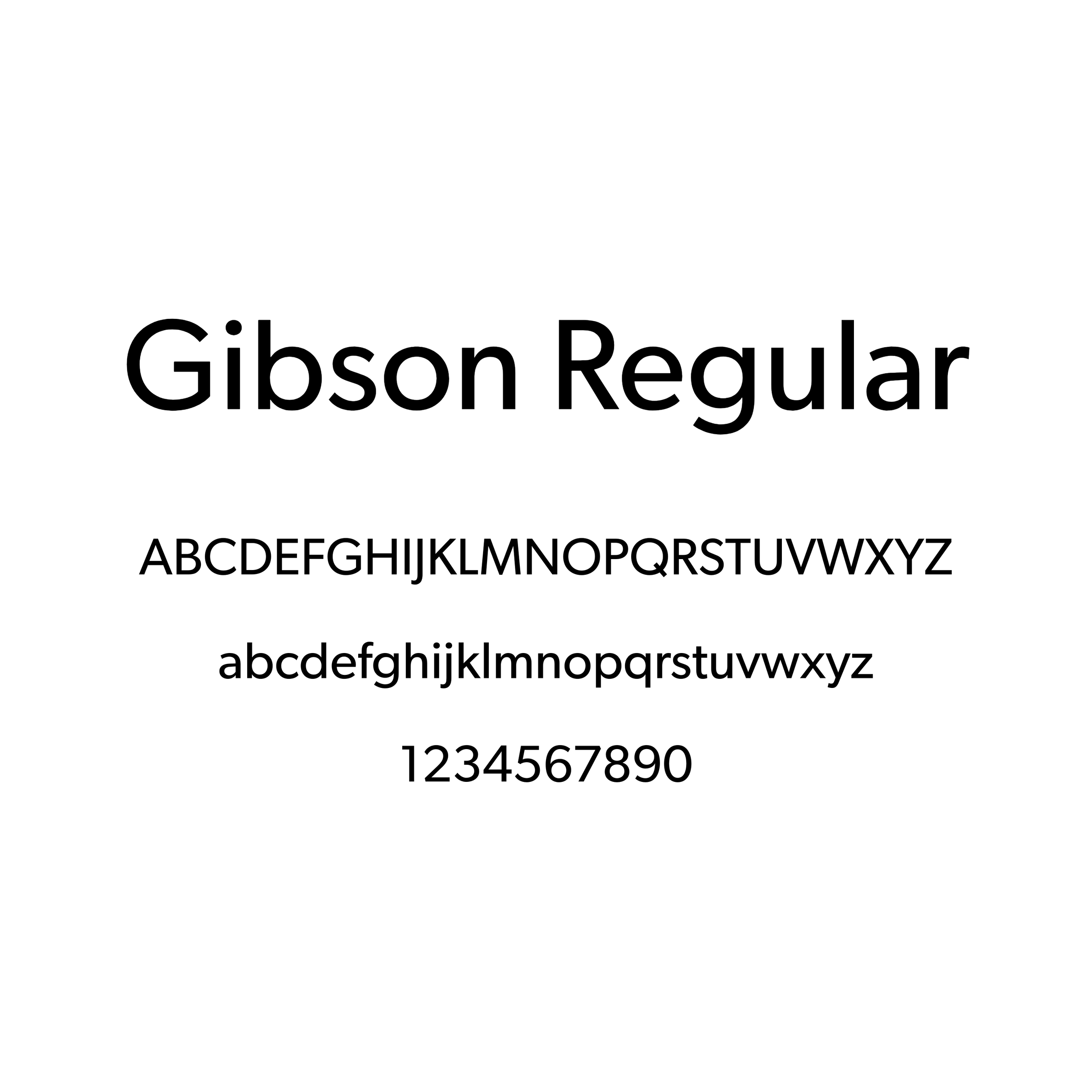 Typography