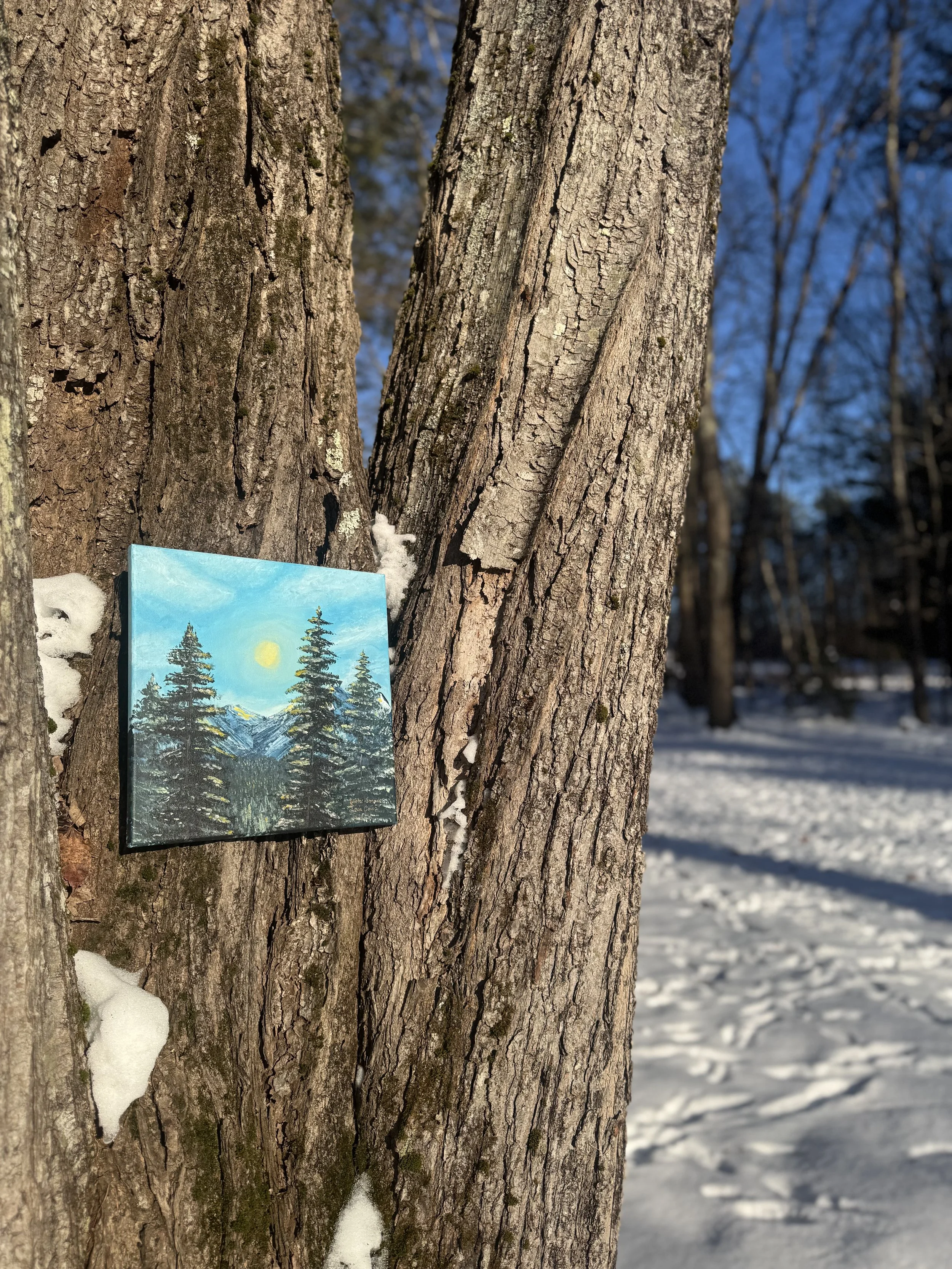 Winter Sunrise hanging in tree.jpg