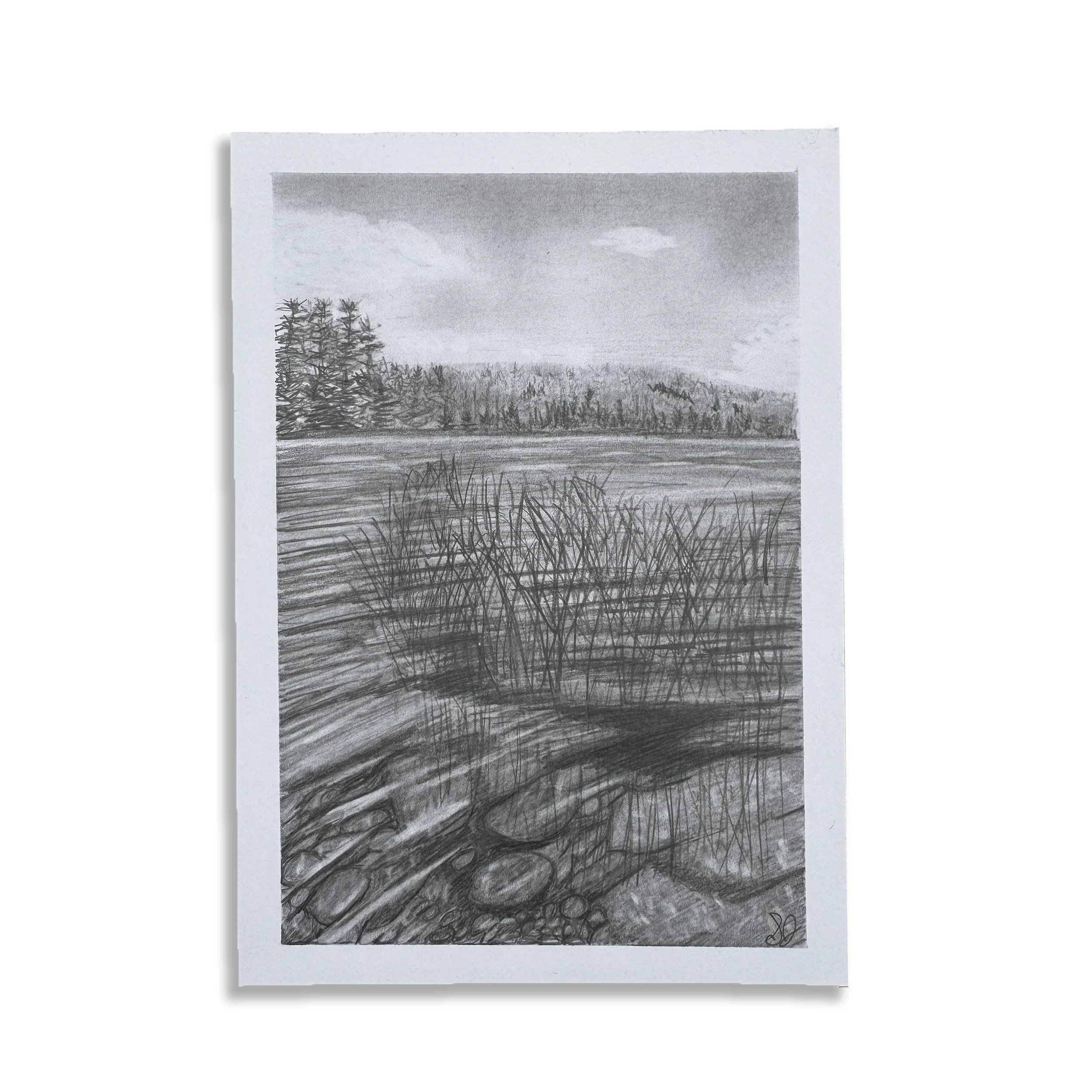 Where Water Meets The Shore I