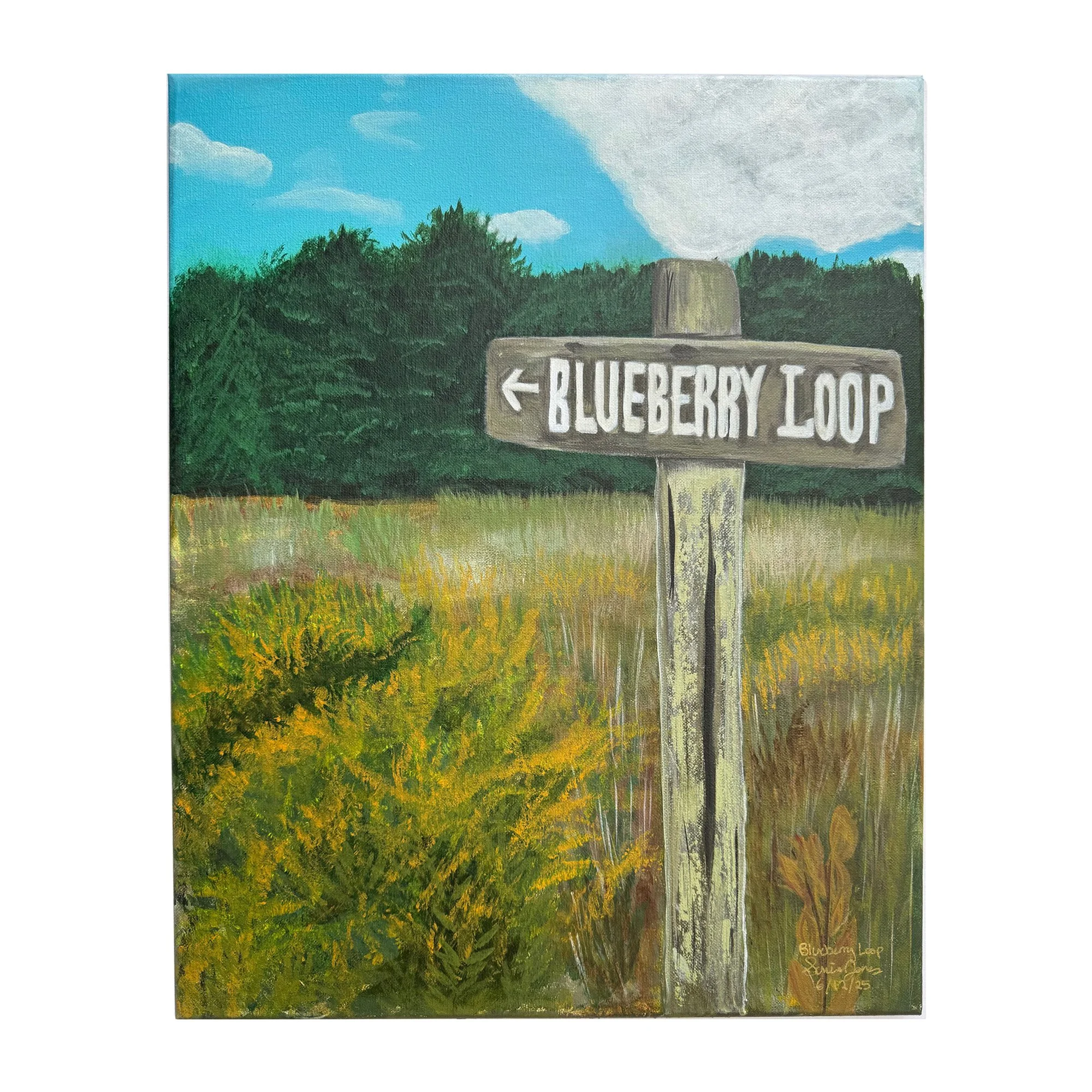 Blueberry Loop 16x20