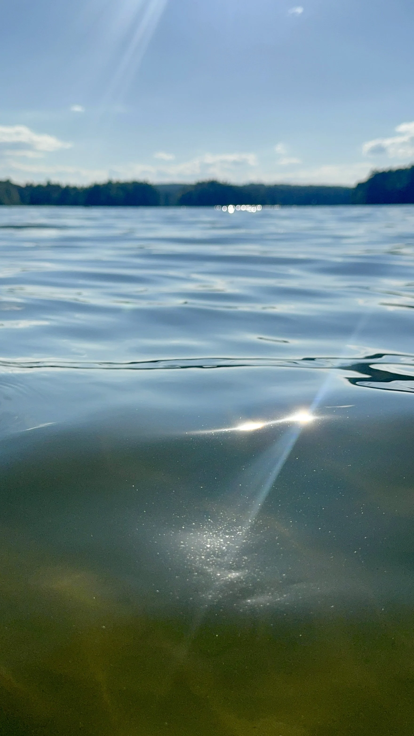 water-range-pond-state-park-maine.jpeg