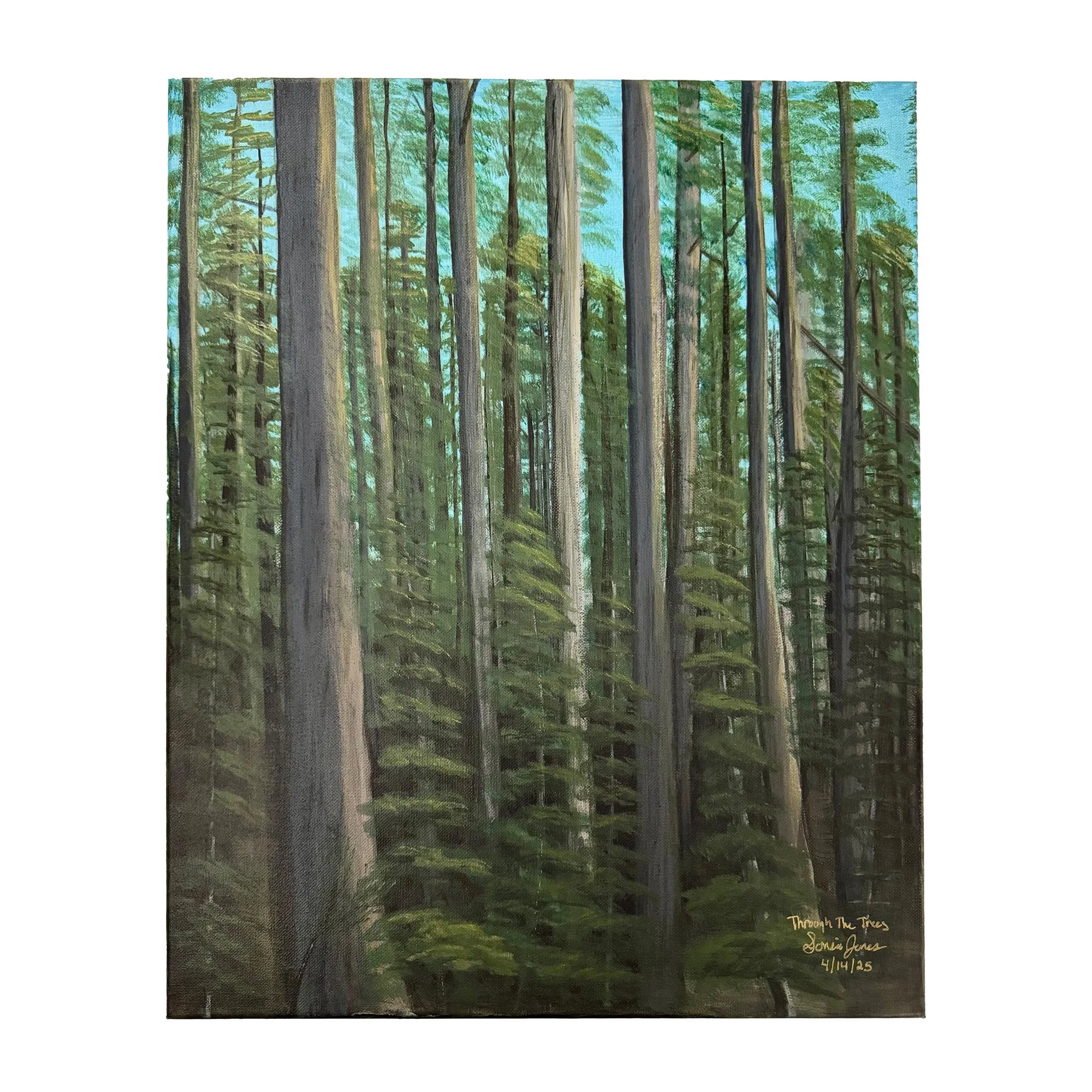 Through The Trees 16x20 inch acrylic on stretched canvas
