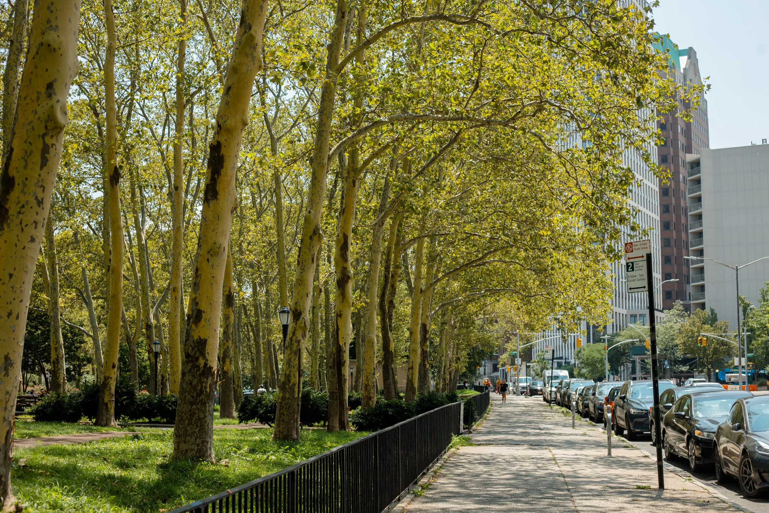 05_NYC_2023-36.jpg